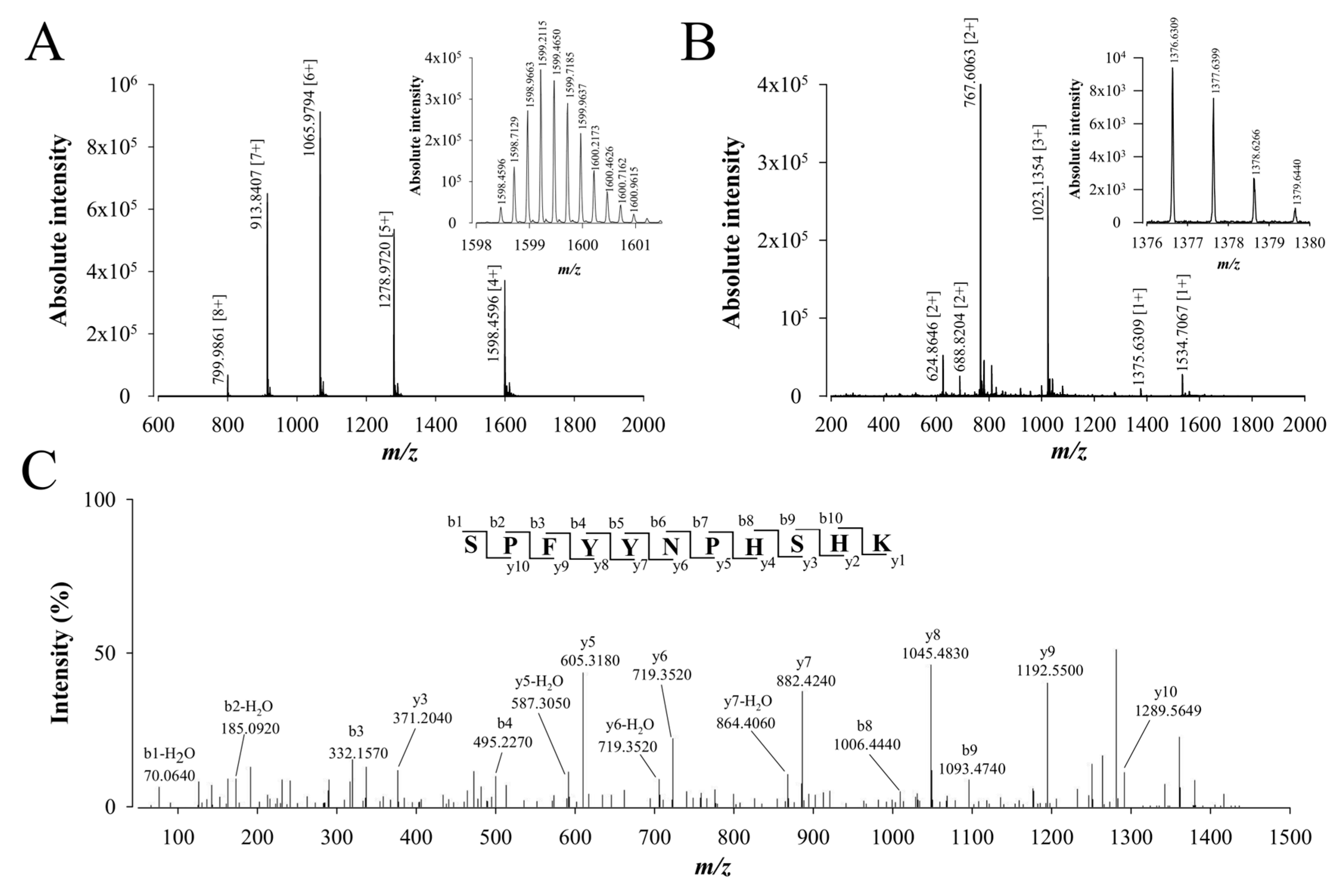 Ijms 21 07786 g005 Ijms 21 07786 g005