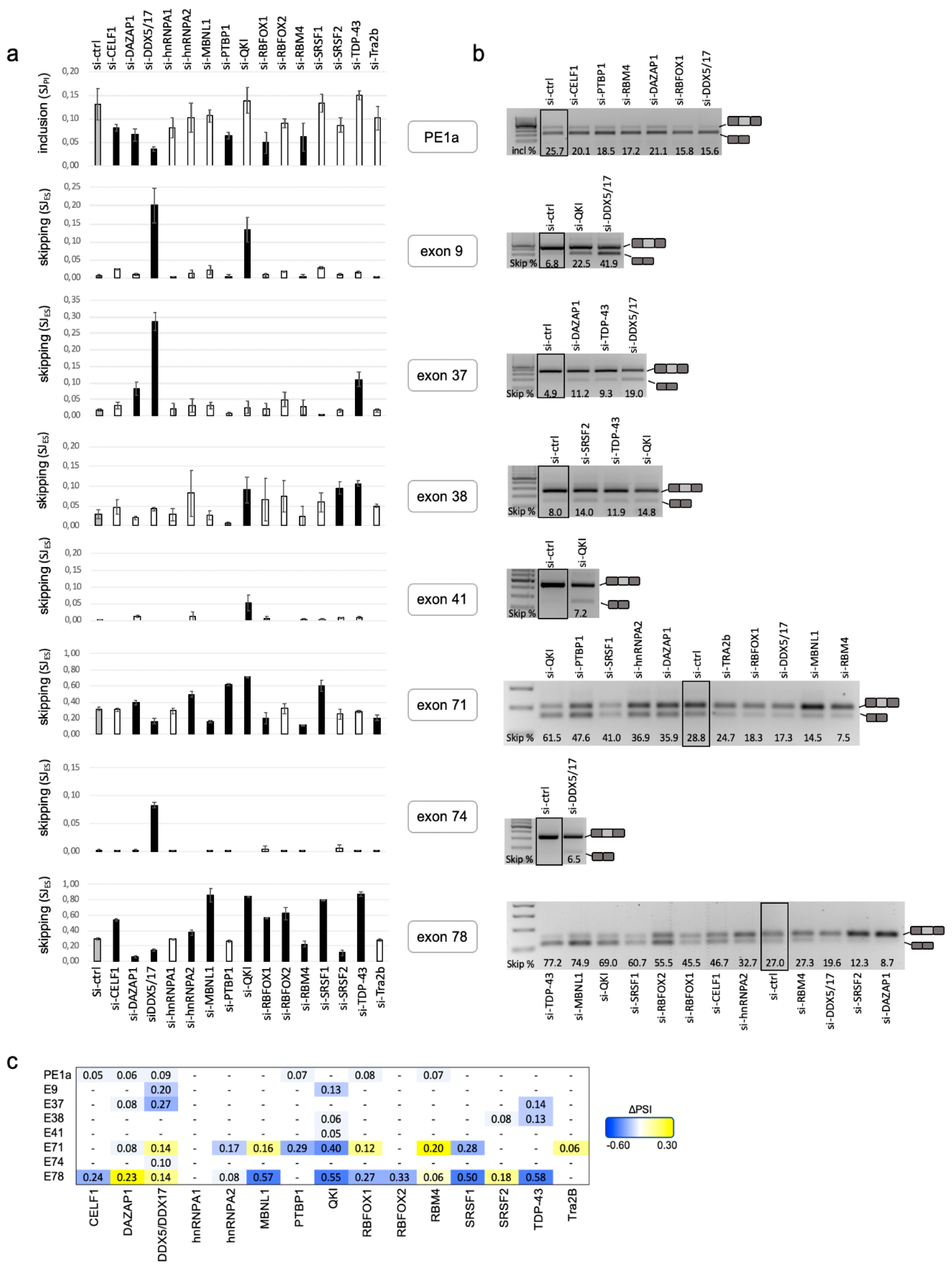 Ijms 21 07803 g002 Ijms 21 07803 g002