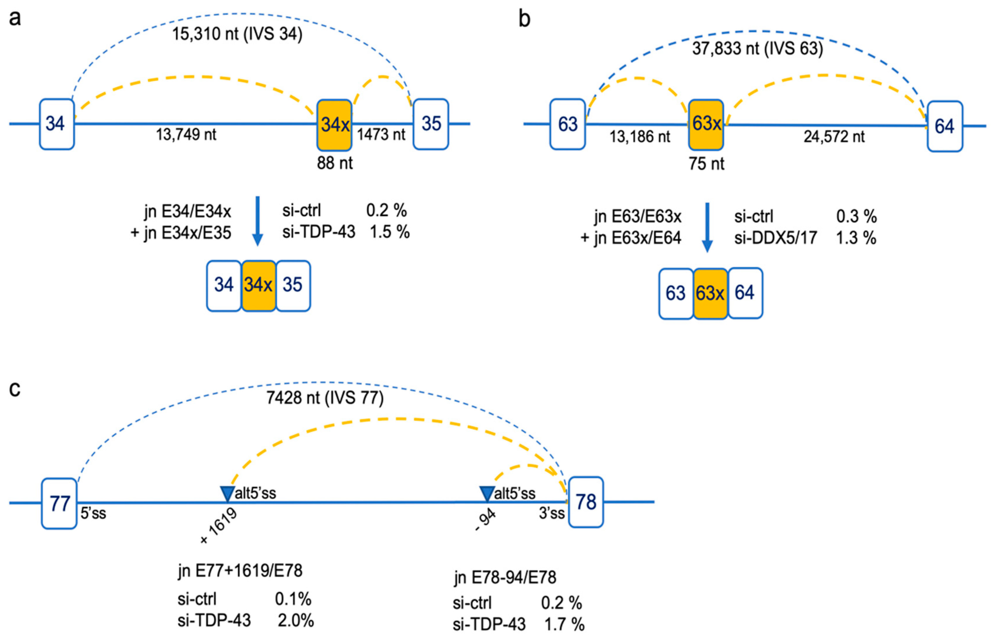 Ijms 21 07803 g003 Ijms 21 07803 g003