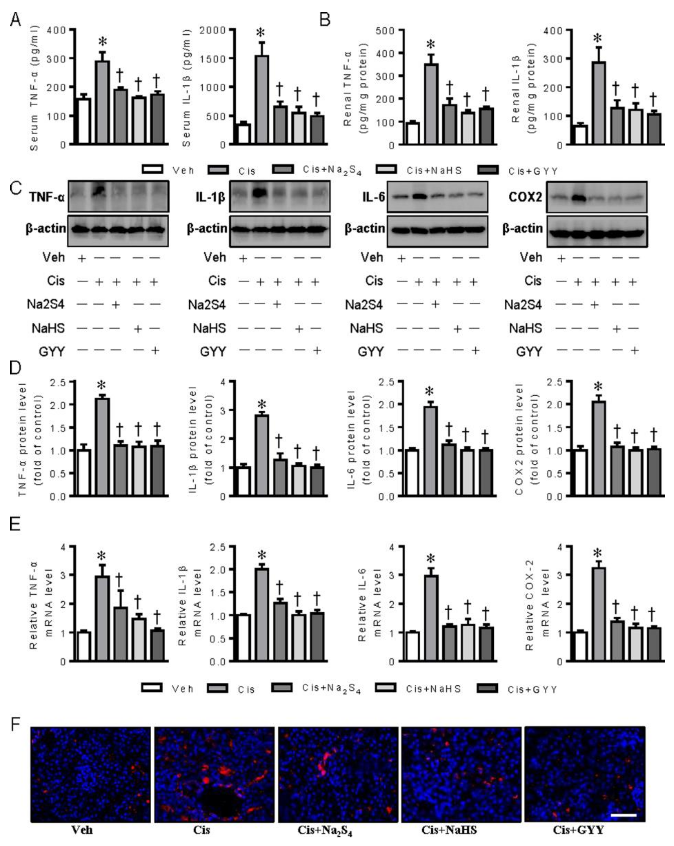 Ijms 21 07805 g005 Ijms 21 07805 g005