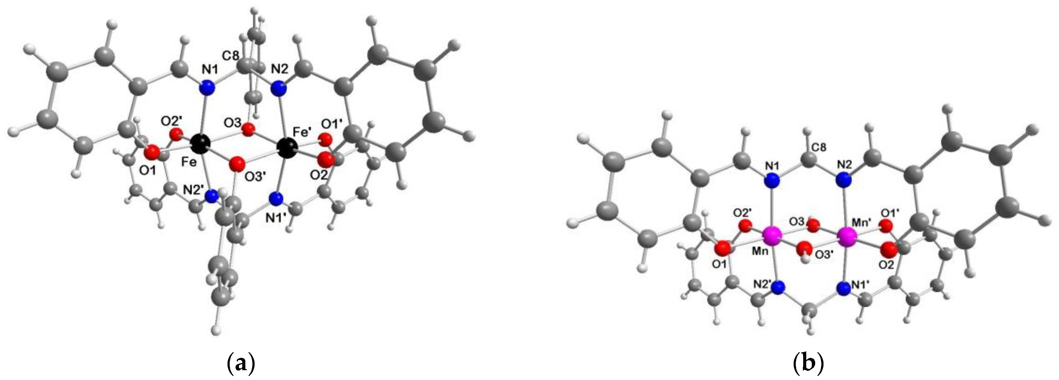 Ijms 21 07882 g003 Ijms 21 07882 g003