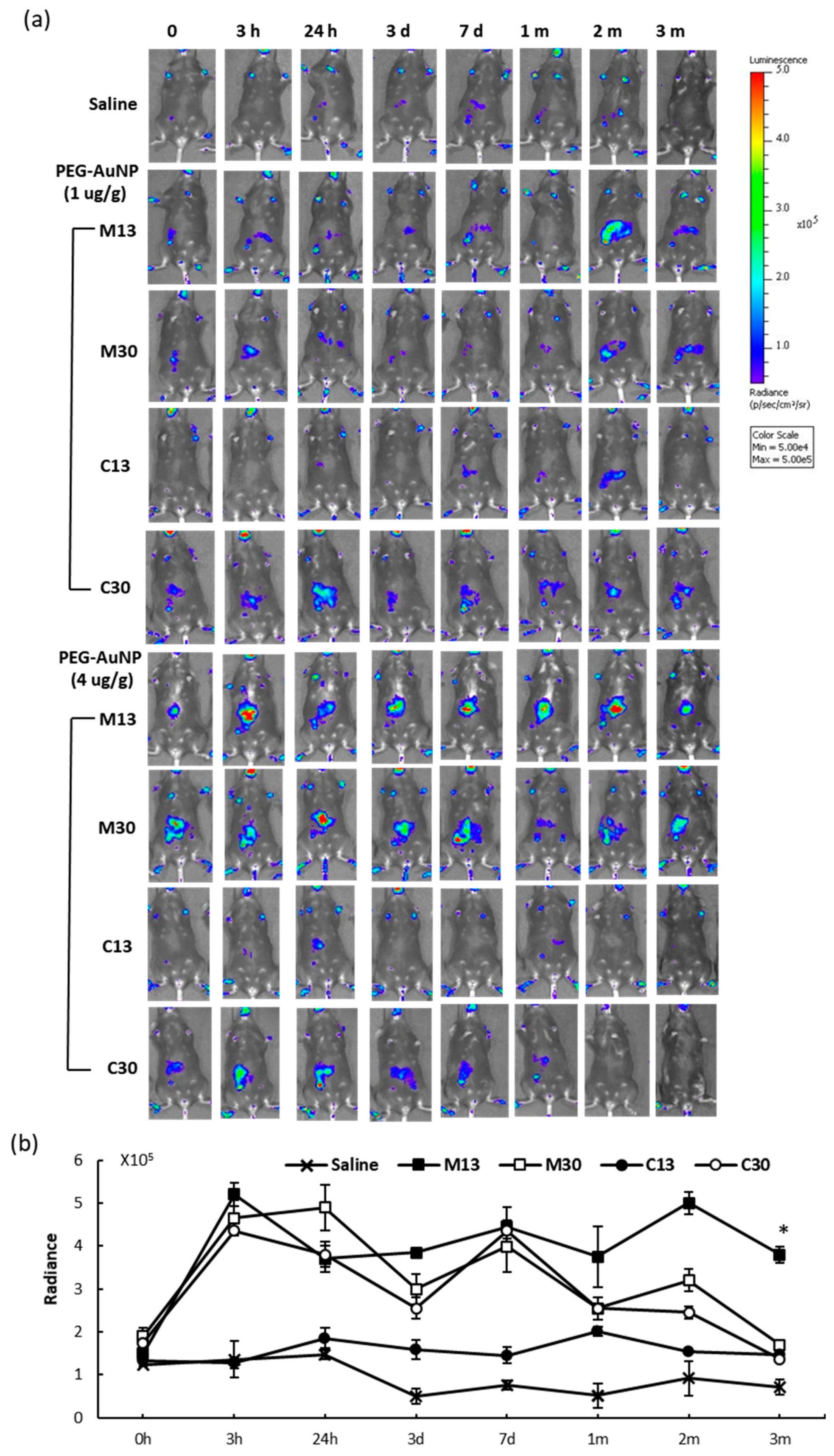 Ijms 21 08158 g003 Ijms 21 08158 g003
