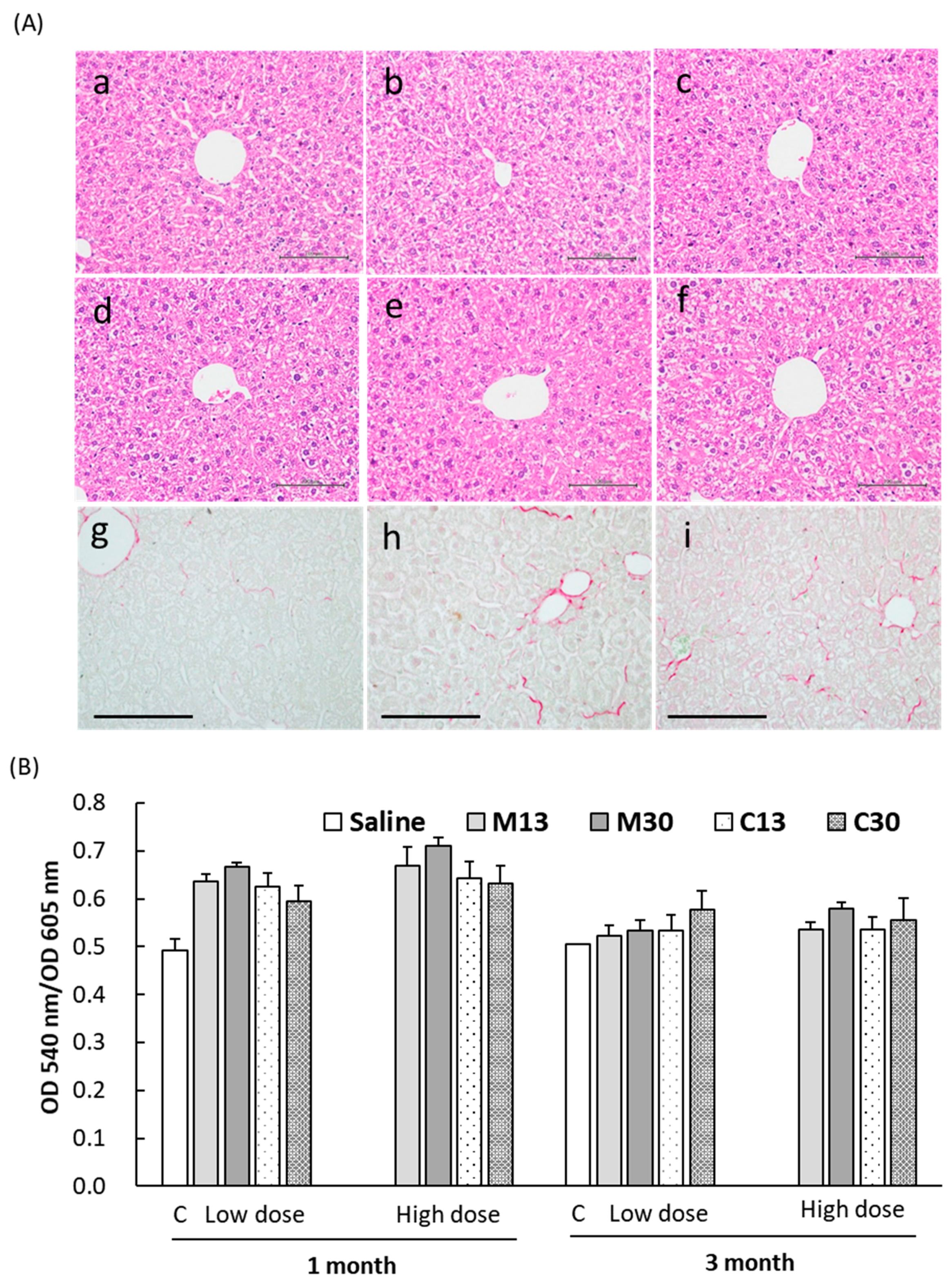 Ijms 21 08158 g006 Ijms 21 08158 g006