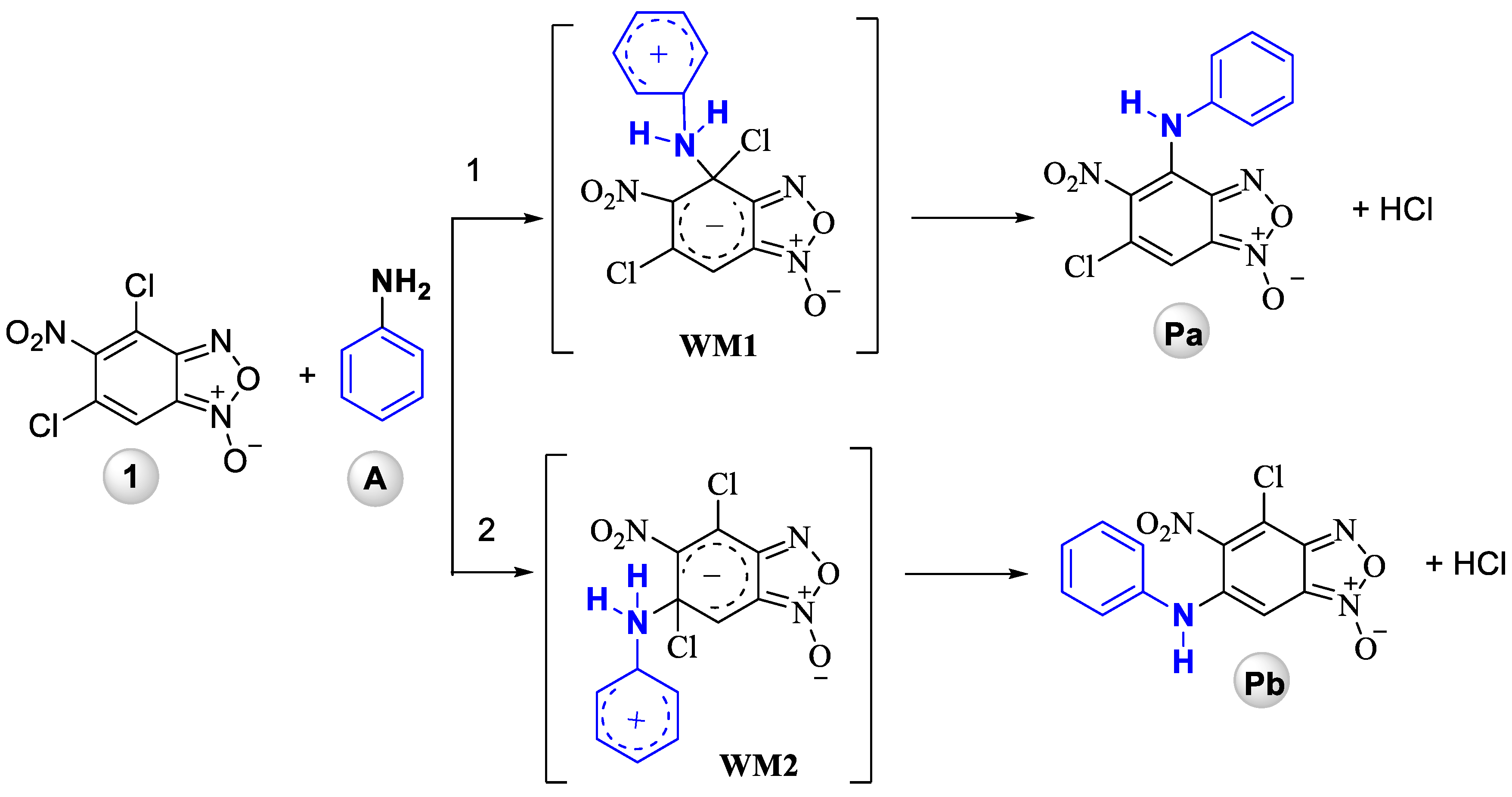 Ijms 21 08292 sch003