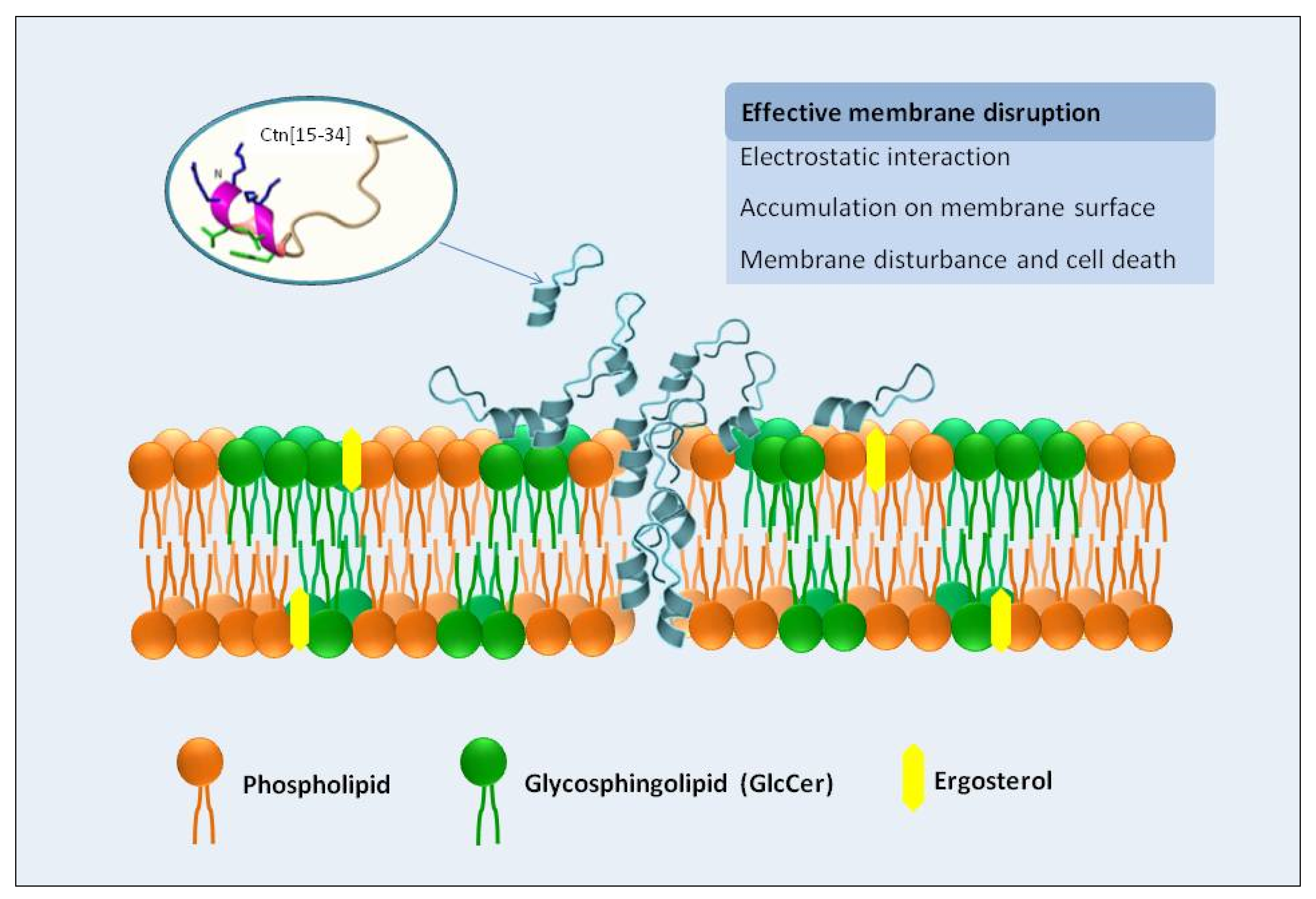 Ijms 21 08339 g006 Ijms 21 08339 g006
