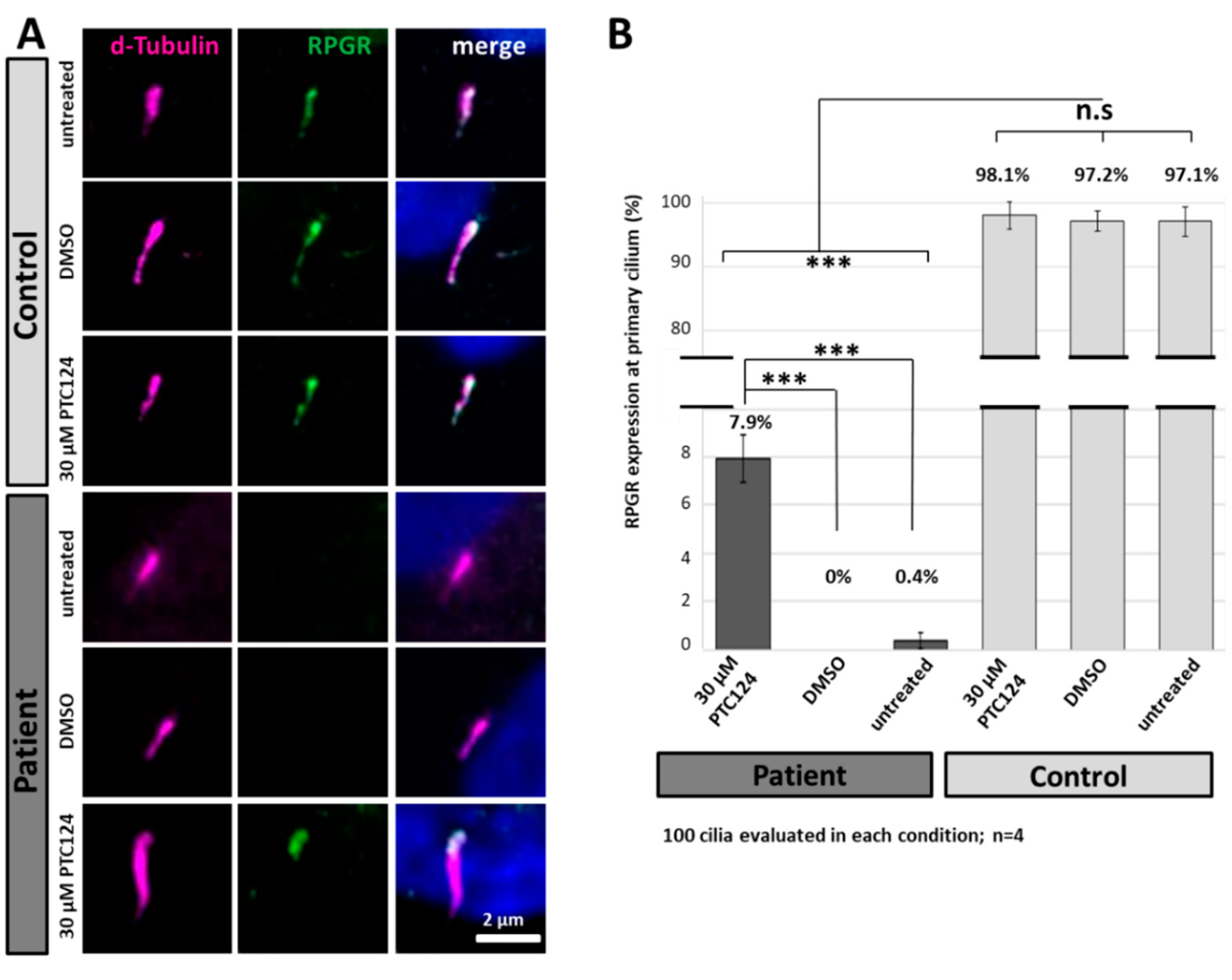 Ijms 21 08418 g005 Ijms 21 08418 g005
