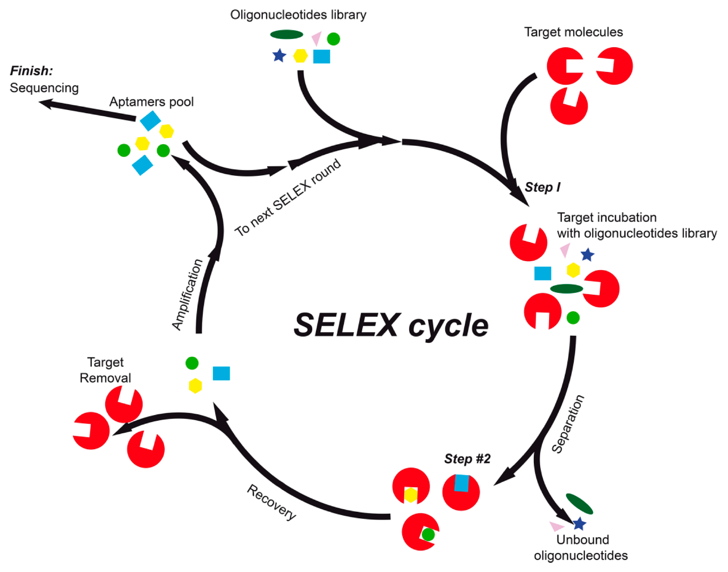 Ijms 21 08420 g001 Ijms 21 08420 g001