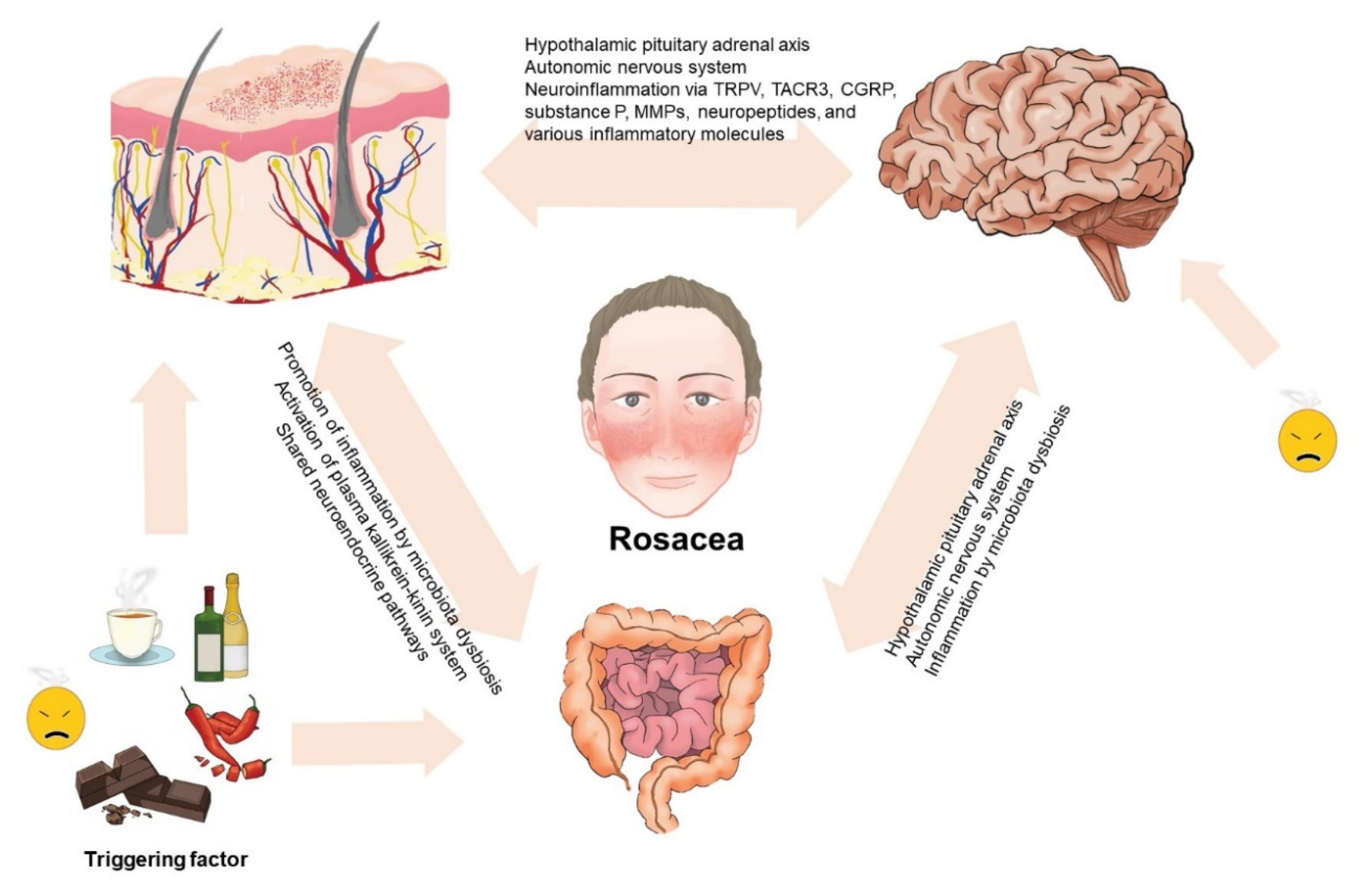 Ijms 21 08427 g002 Ijms 21 08427 g002