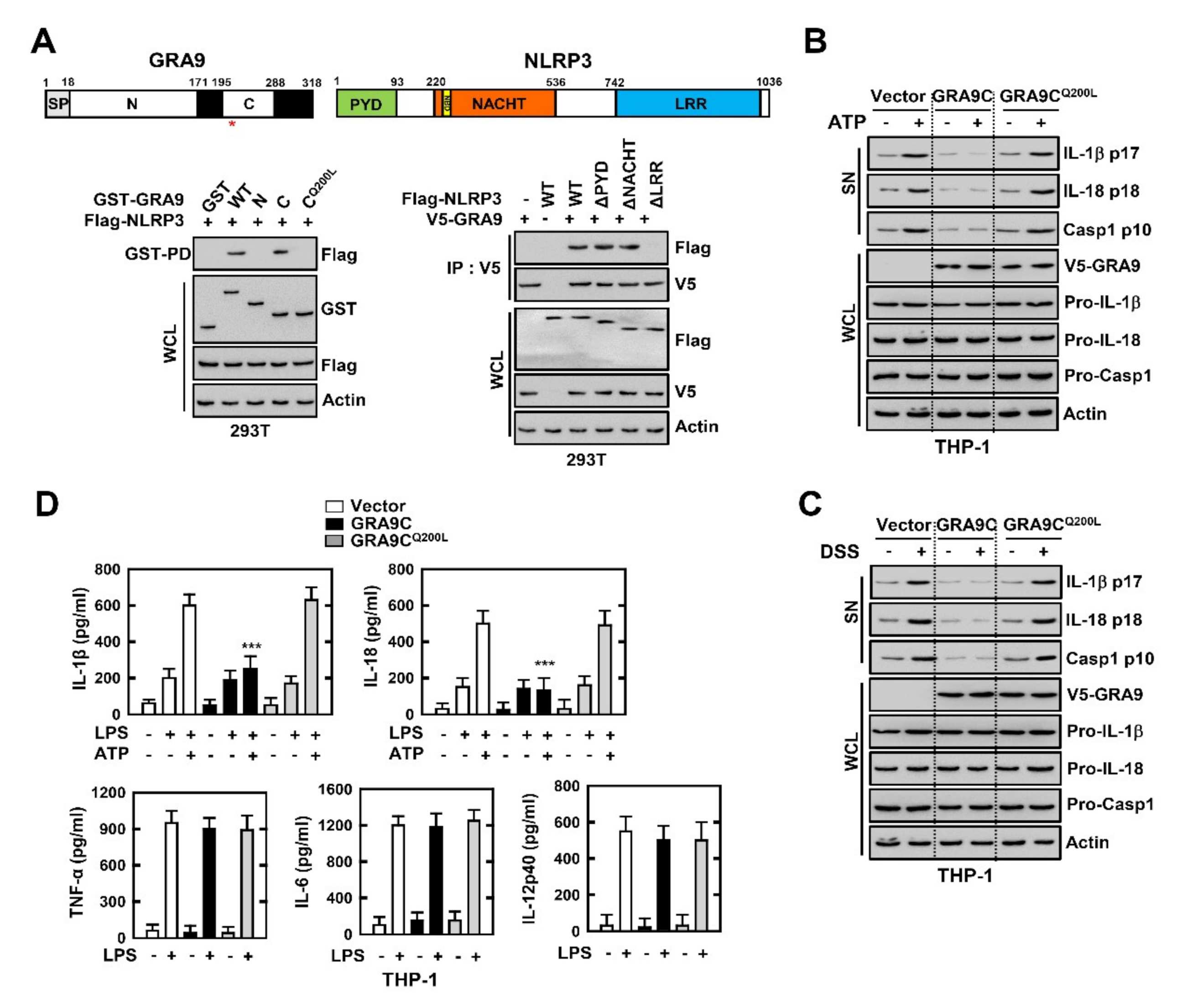 Ijms 21 08437 g003 Ijms 21 08437 g003