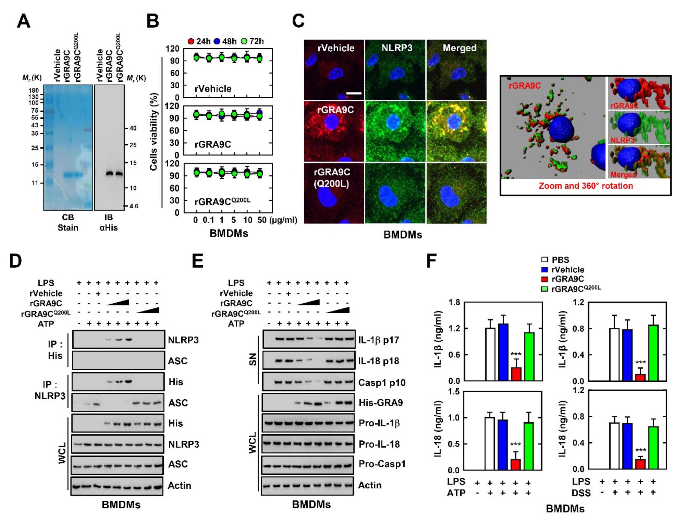 Ijms 21 08437 g004 Ijms 21 08437 g004