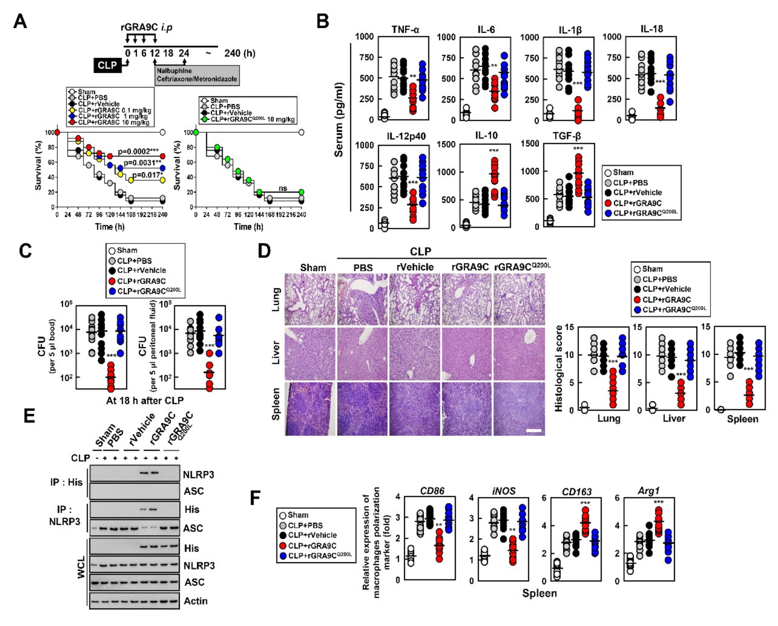 Ijms 21 08437 g006 Ijms 21 08437 g006