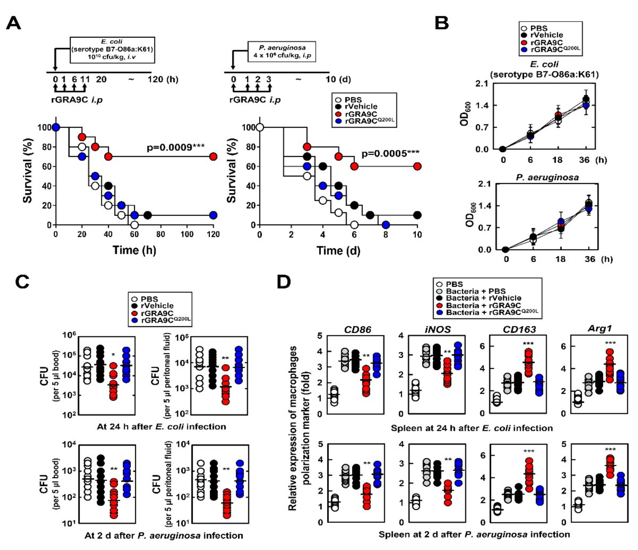 Ijms 21 08437 g007 Ijms 21 08437 g007