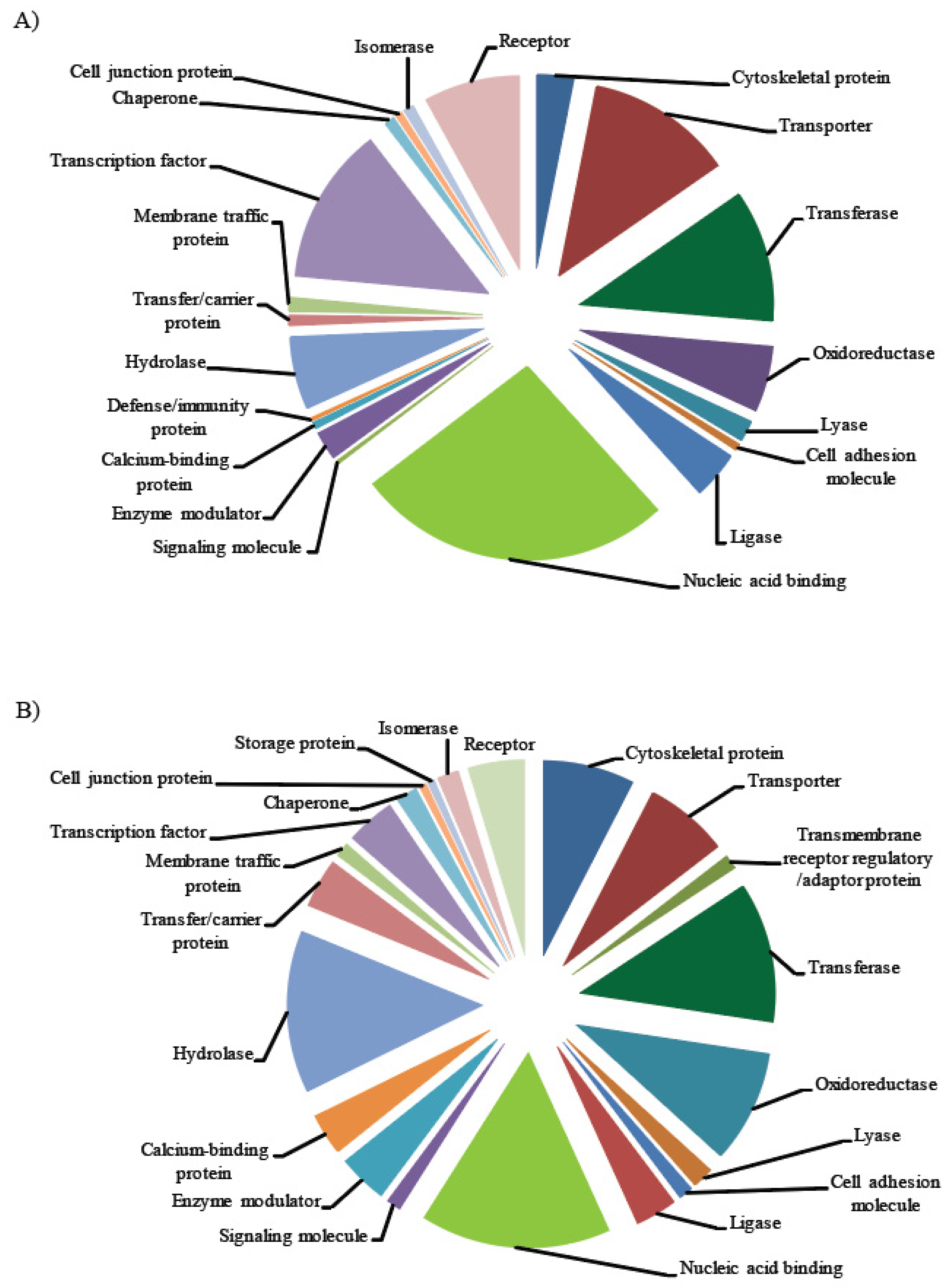 Ijms 21 08441 g007 Ijms 21 08441 g007
