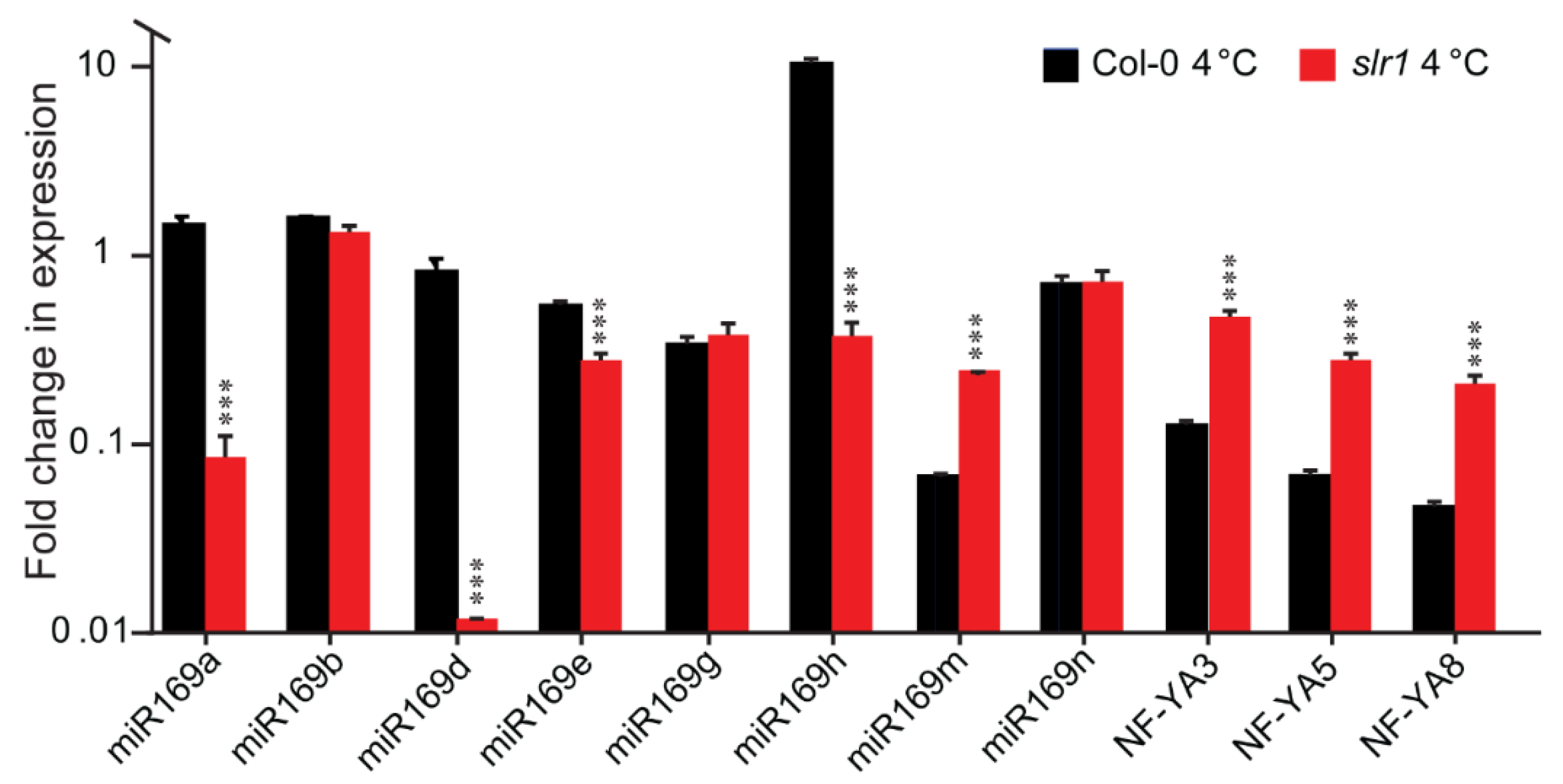 Ijms 21 08441 g008 Ijms 21 08441 g008