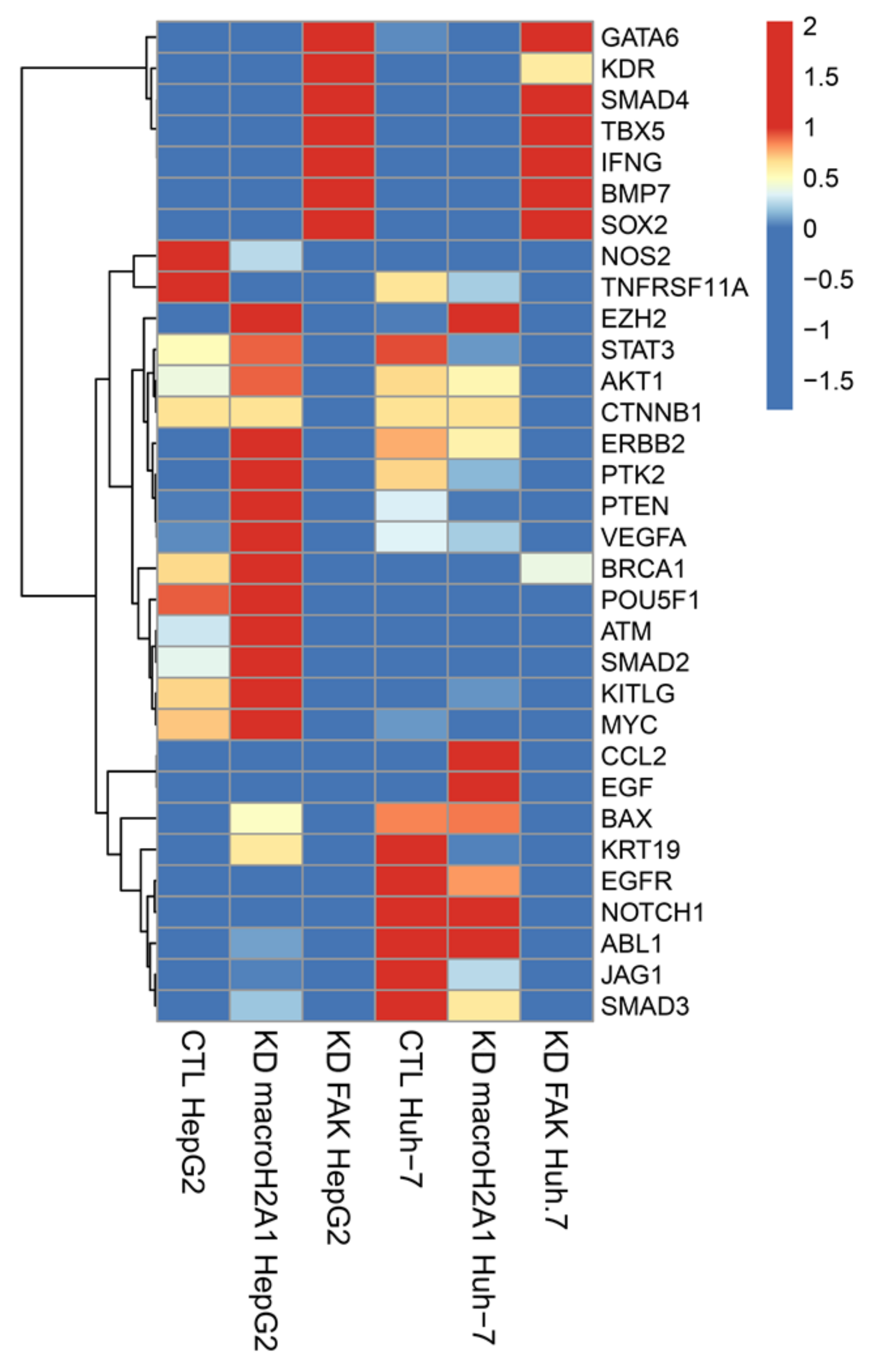 Ijms 21 08452 g001 Ijms 21 08452 g001