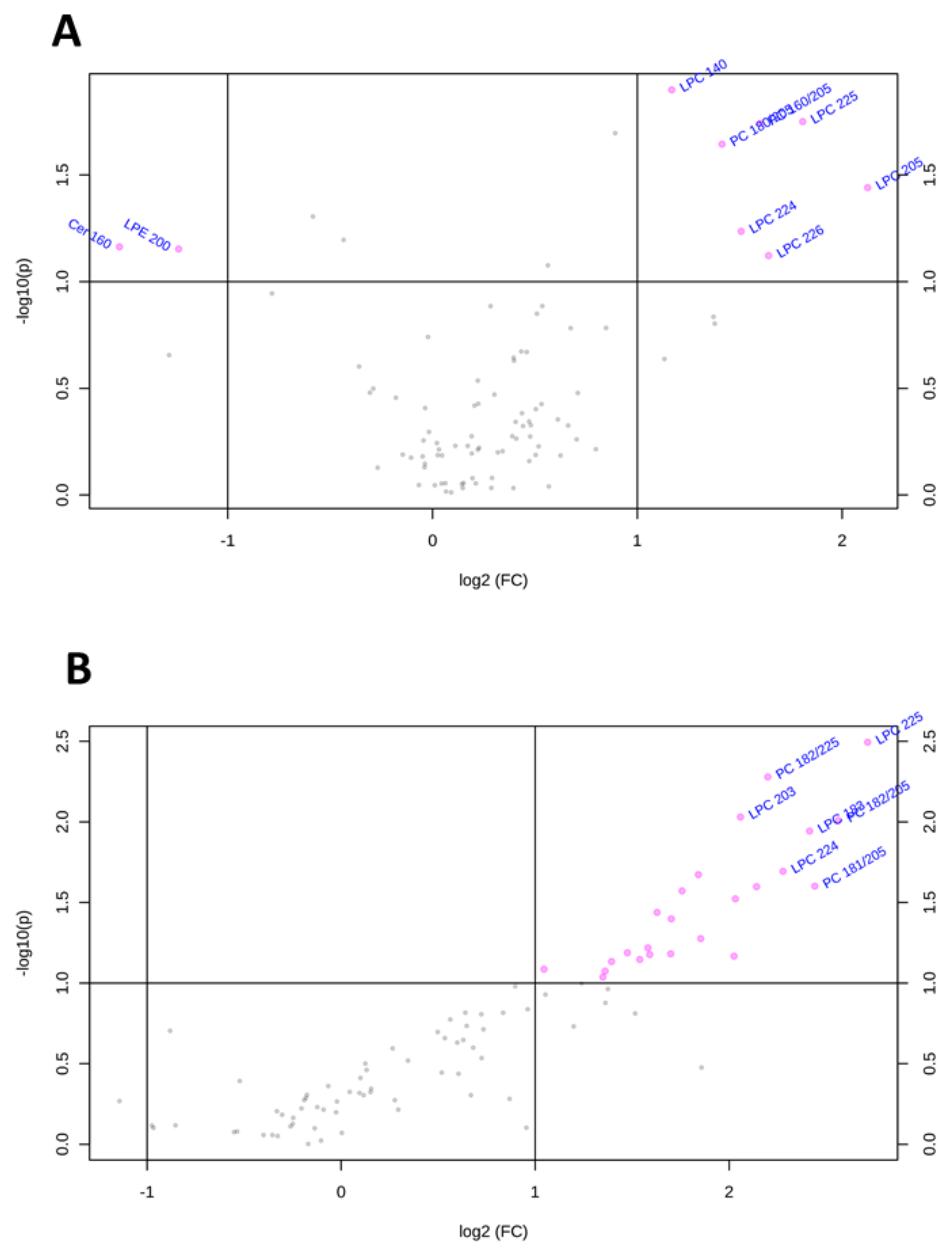 Ijms 21 08452 g004 Ijms 21 08452 g004