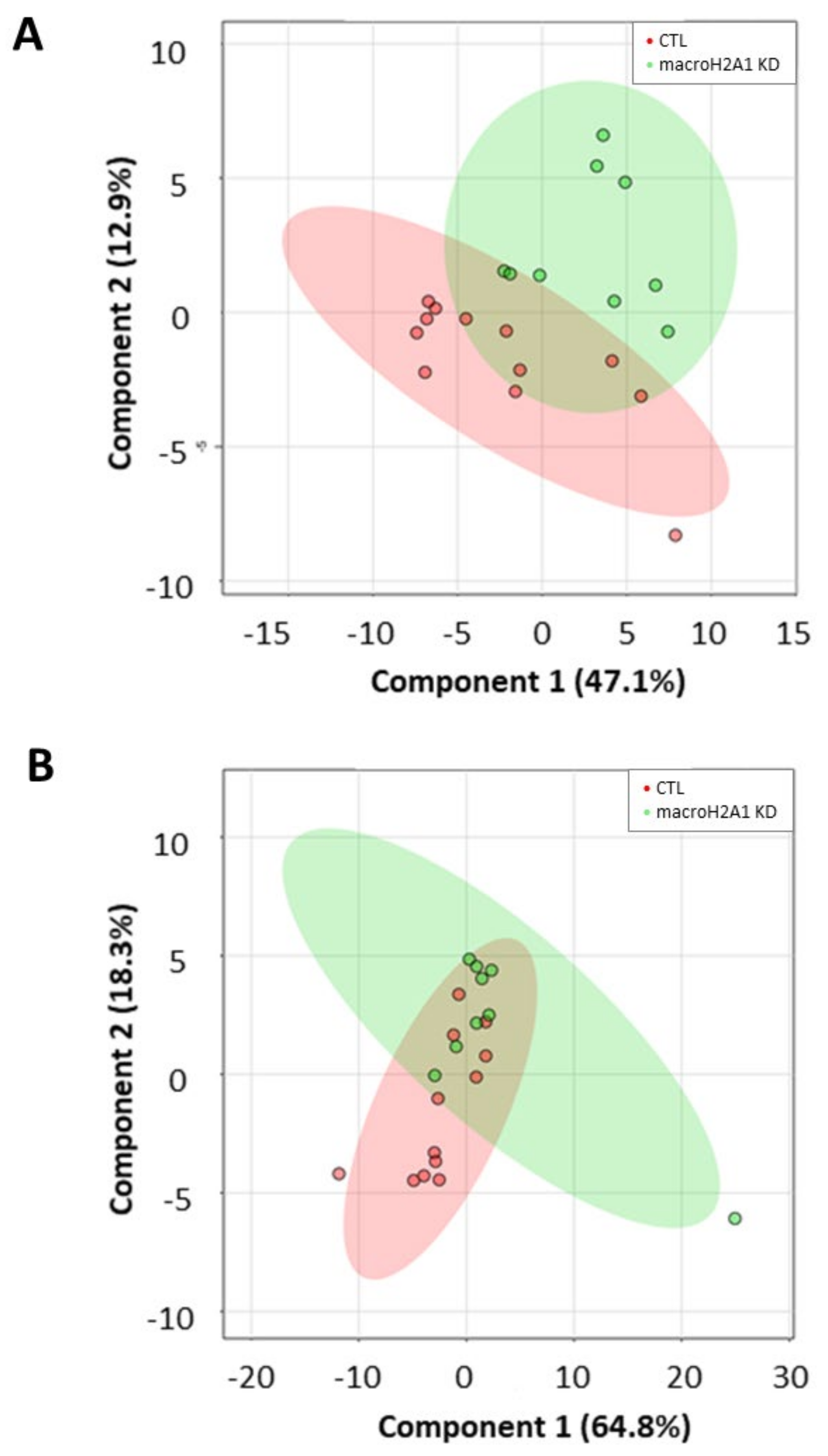 Ijms 21 08452 g006 Ijms 21 08452 g006