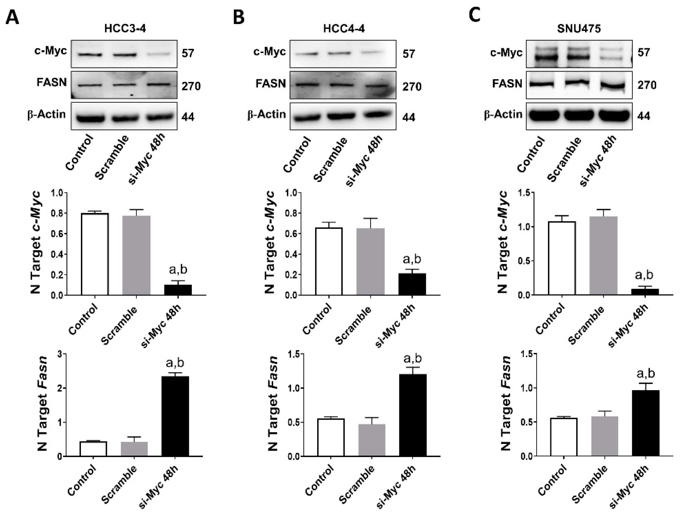 Ijms 21 08467 g007 Ijms 21 08467 g007