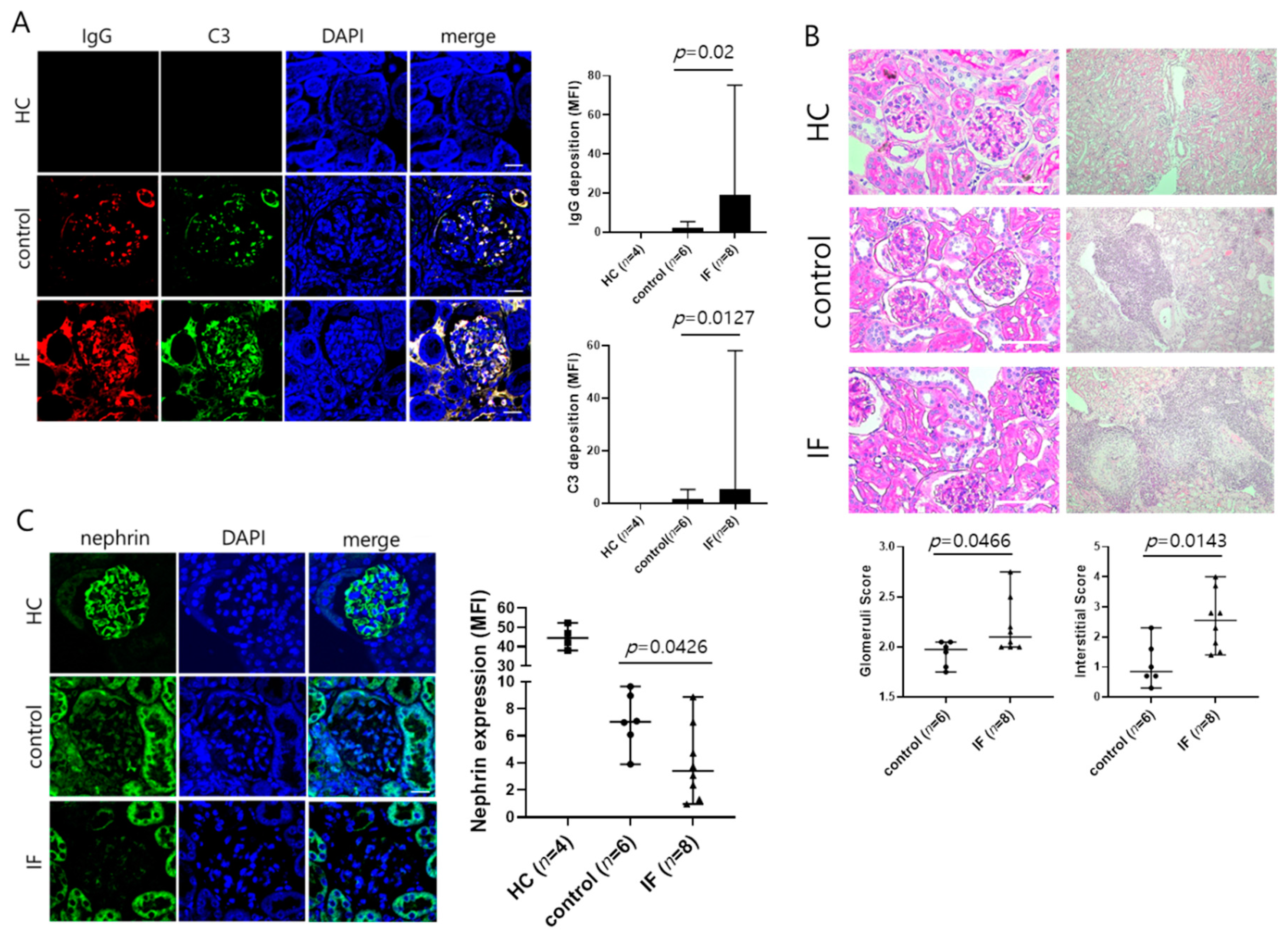Ijms 21 08477 g002 Ijms 21 08477 g002