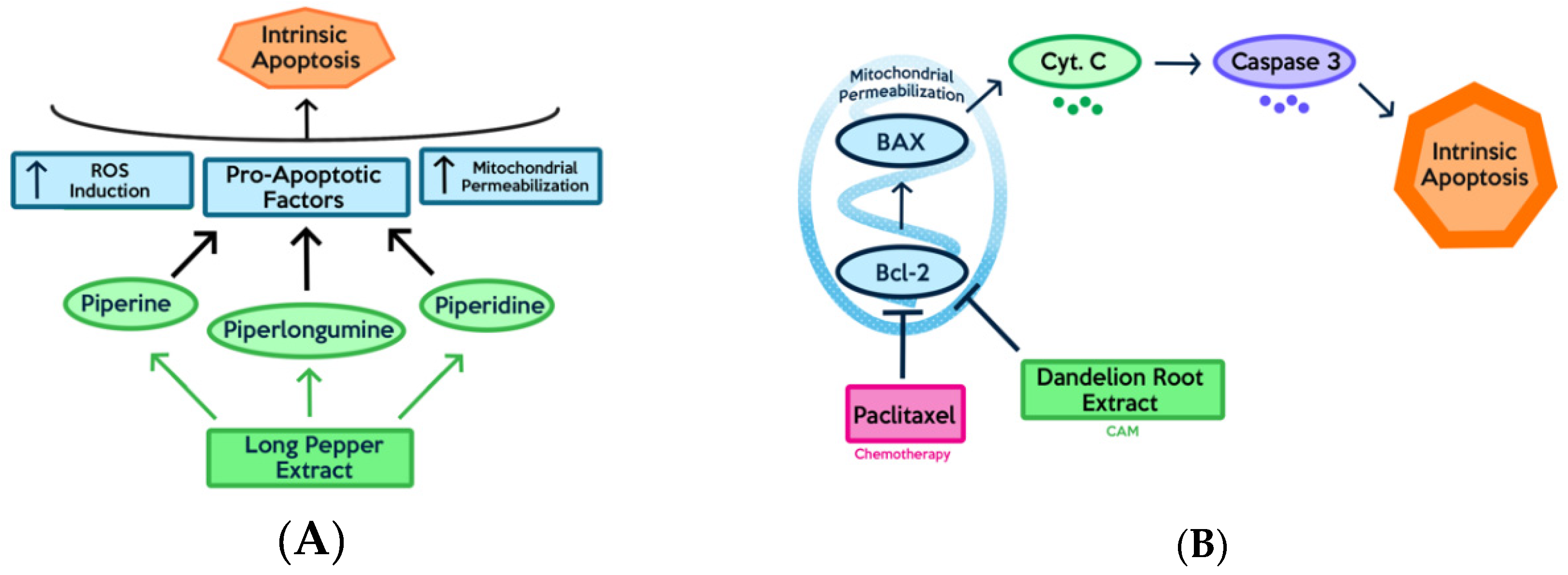 Ijms 21 08480 g001 Ijms 21 08480 g001