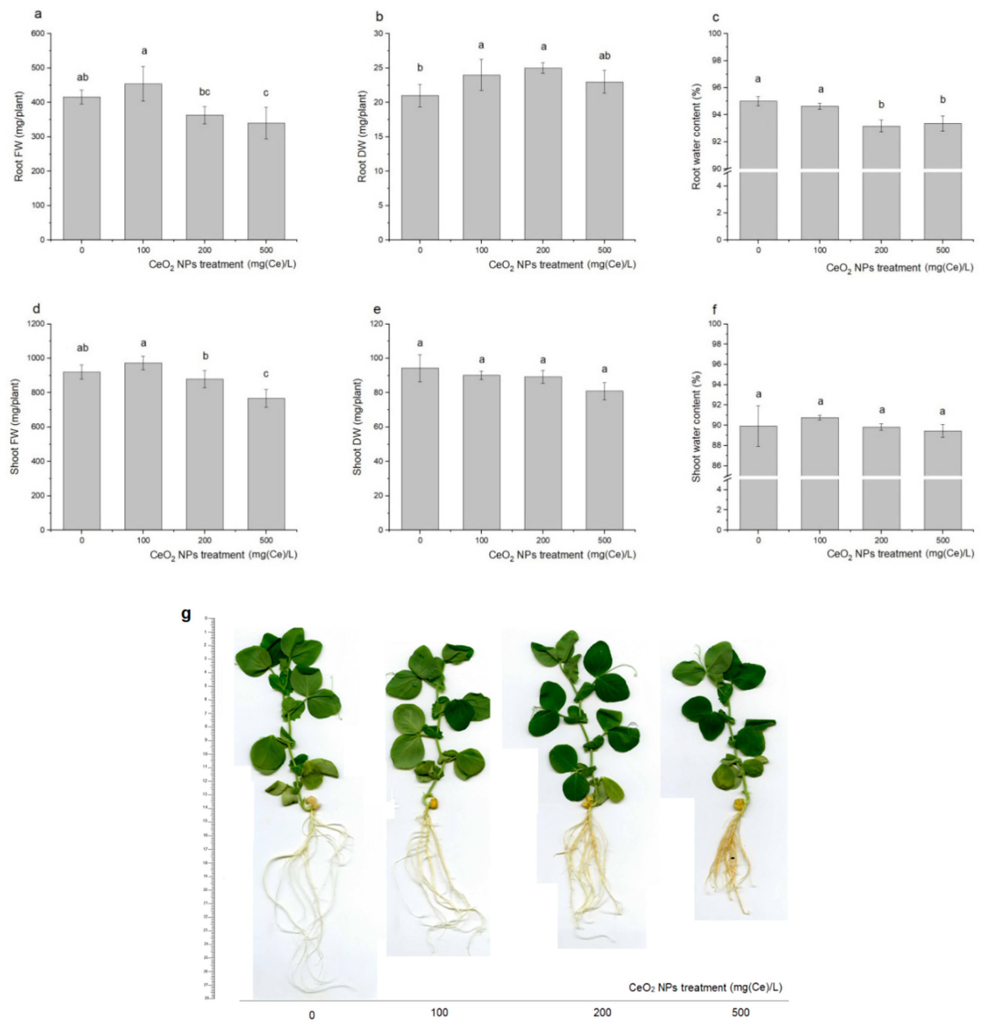 Ijms 21 08497 g001 Ijms 21 08497 g001