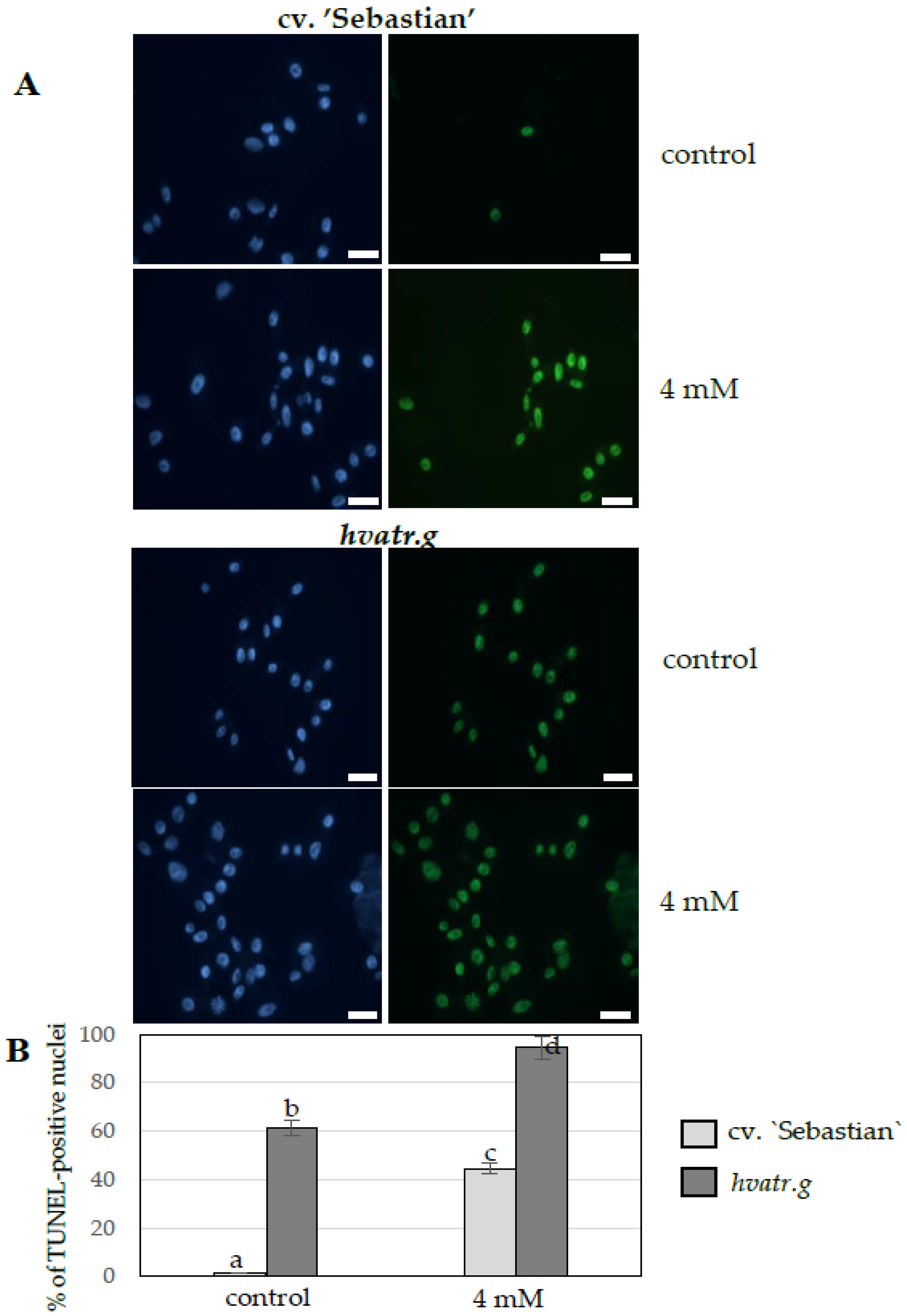 Ijms 21 08500 g006 Ijms 21 08500 g006