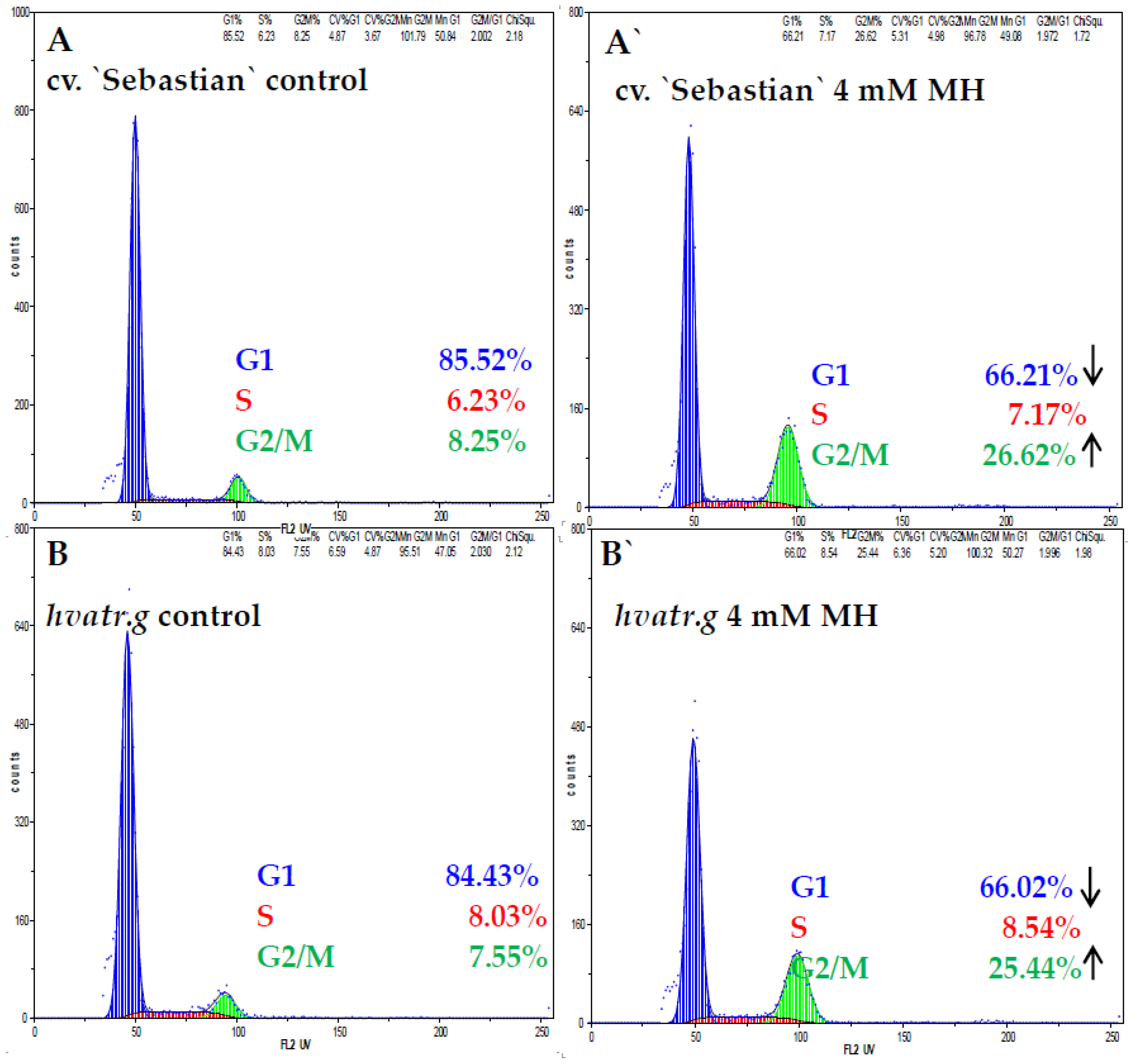 Ijms 21 08500 g007 Ijms 21 08500 g007