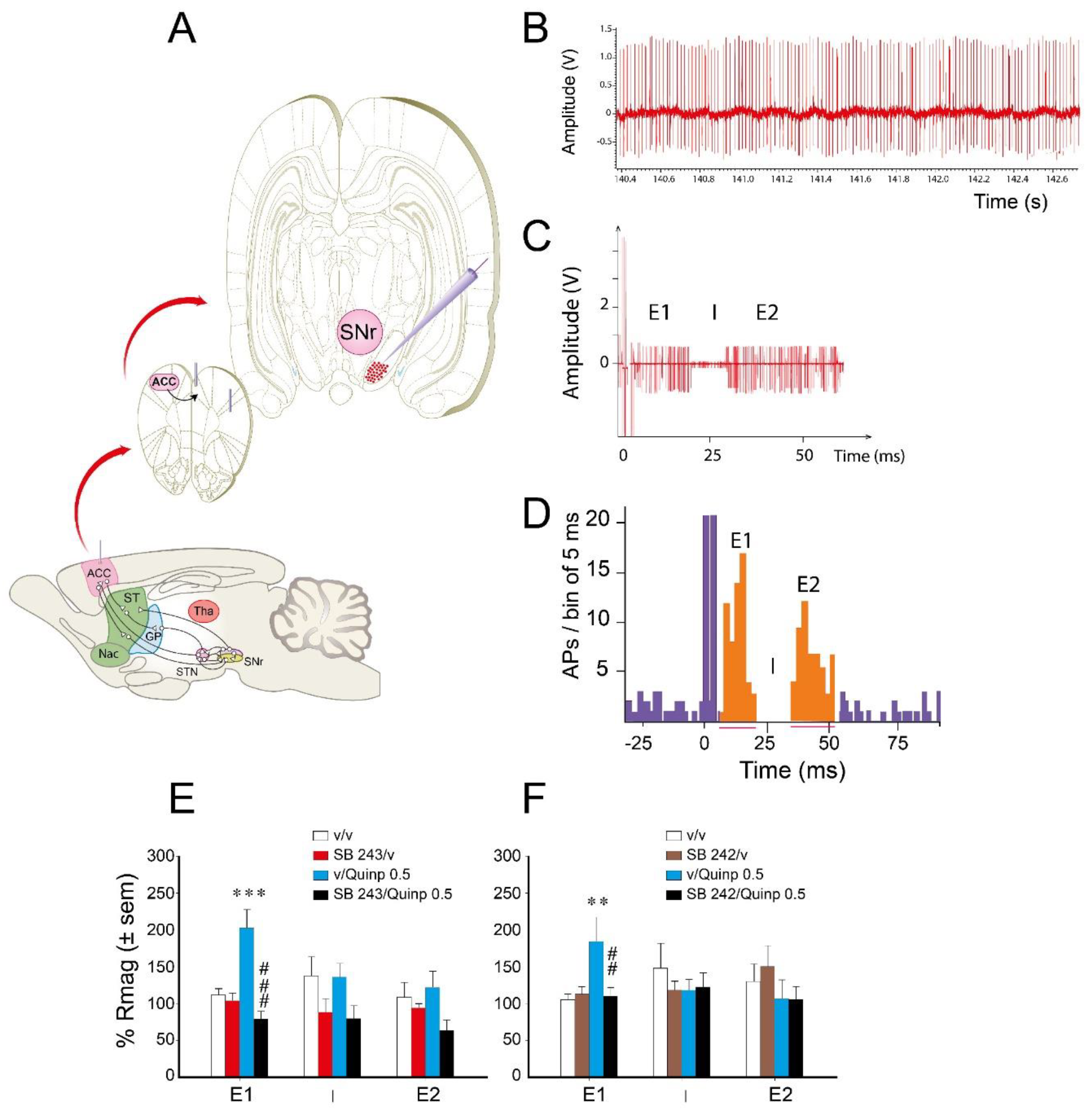 Ijms 21 08509 g004 Ijms 21 08509 g004