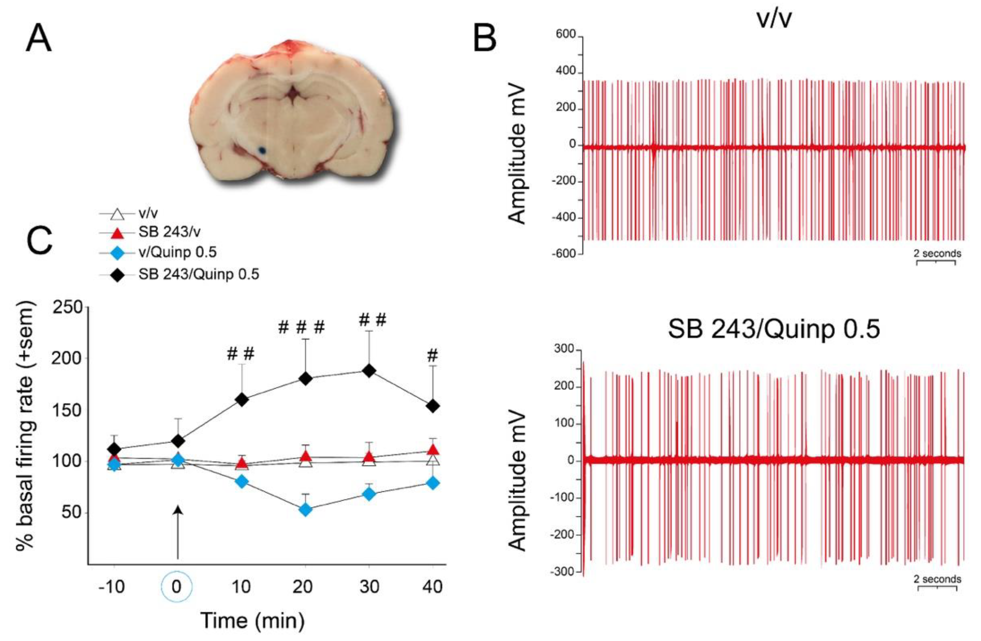 Ijms 21 08509 g005 Ijms 21 08509 g005