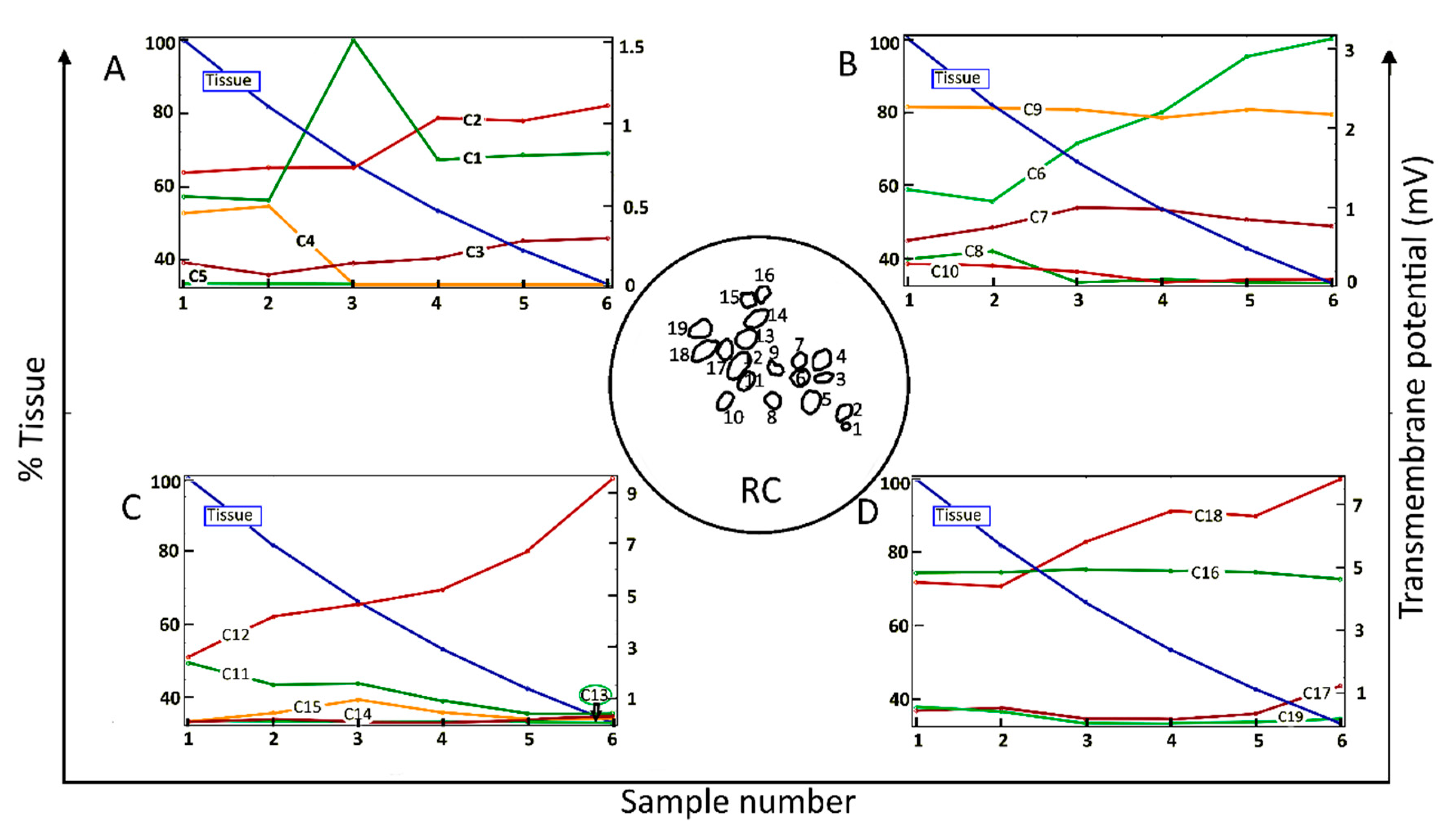 Ijms 21 08511 g002 Ijms 21 08511 g002