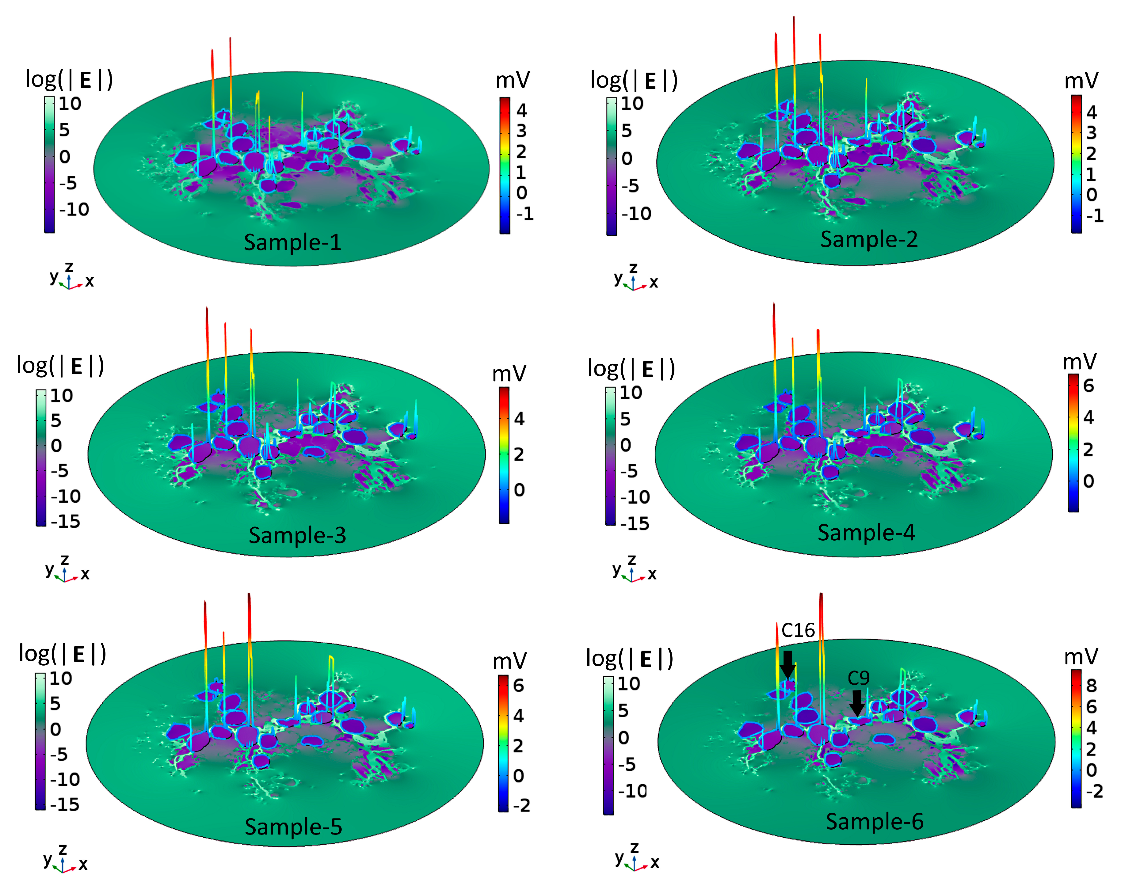 Ijms 21 08511 g003 Ijms 21 08511 g003