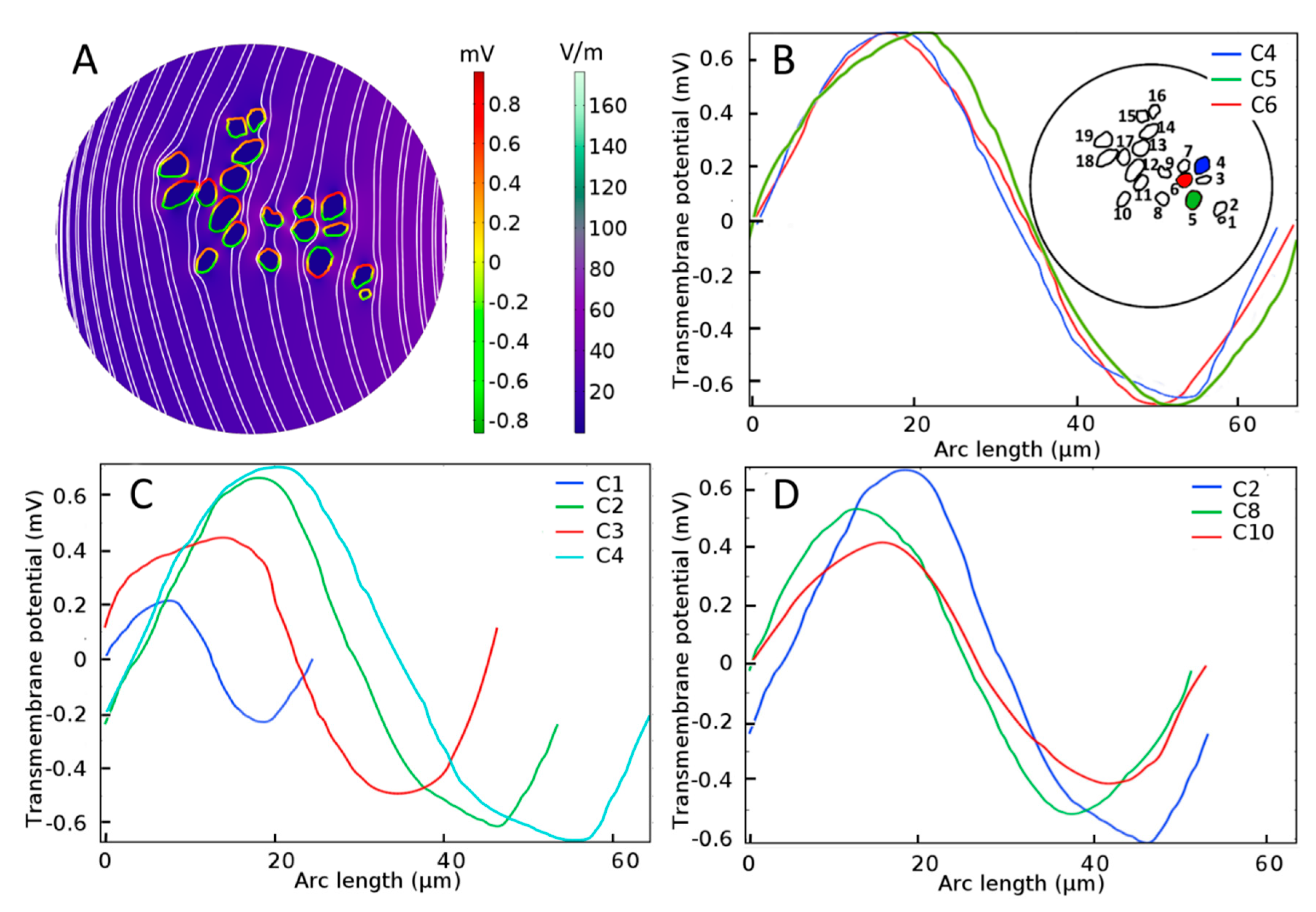 Ijms 21 08511 g004 Ijms 21 08511 g004