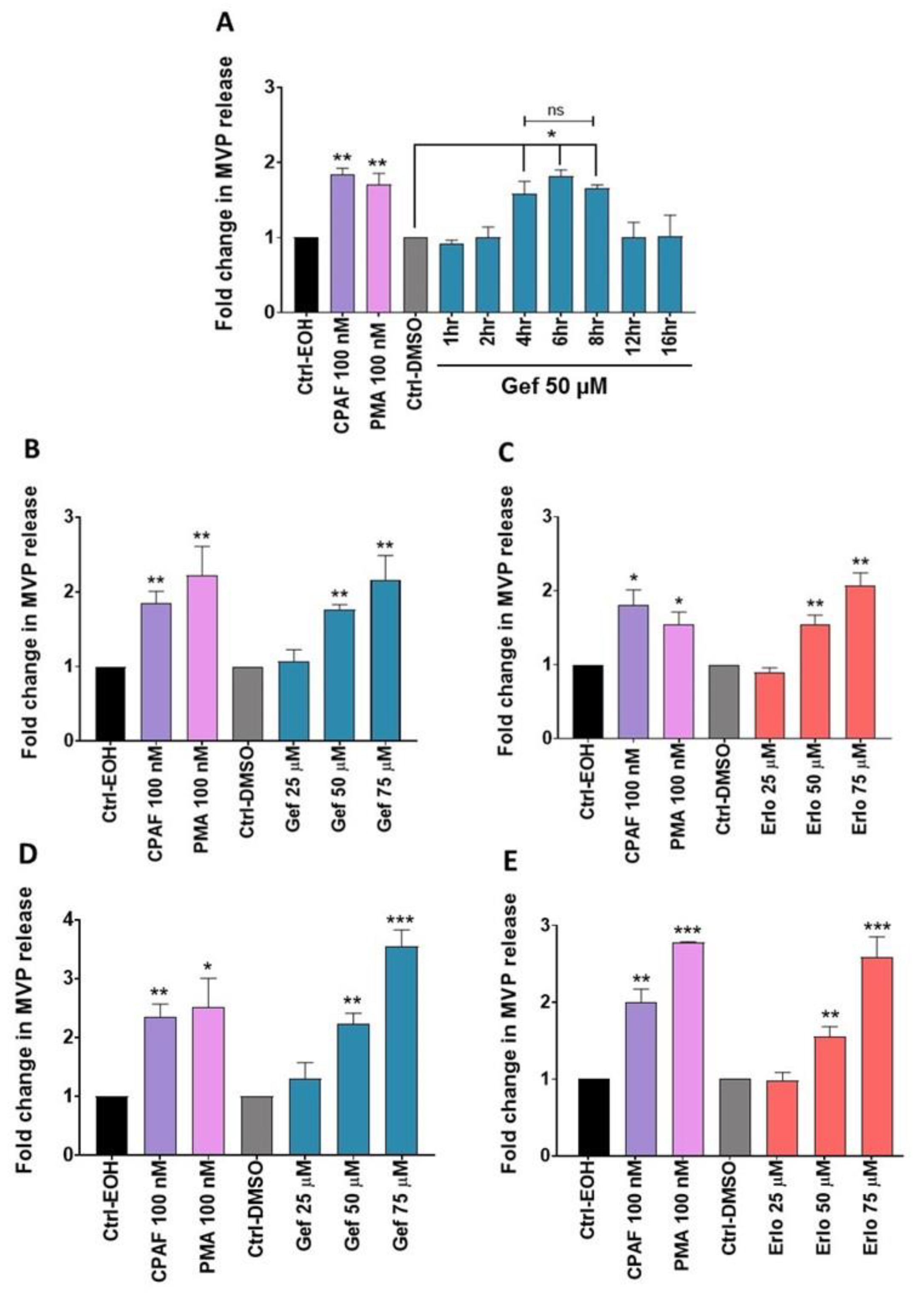 Ijms 21 08517 g002 Ijms 21 08517 g002