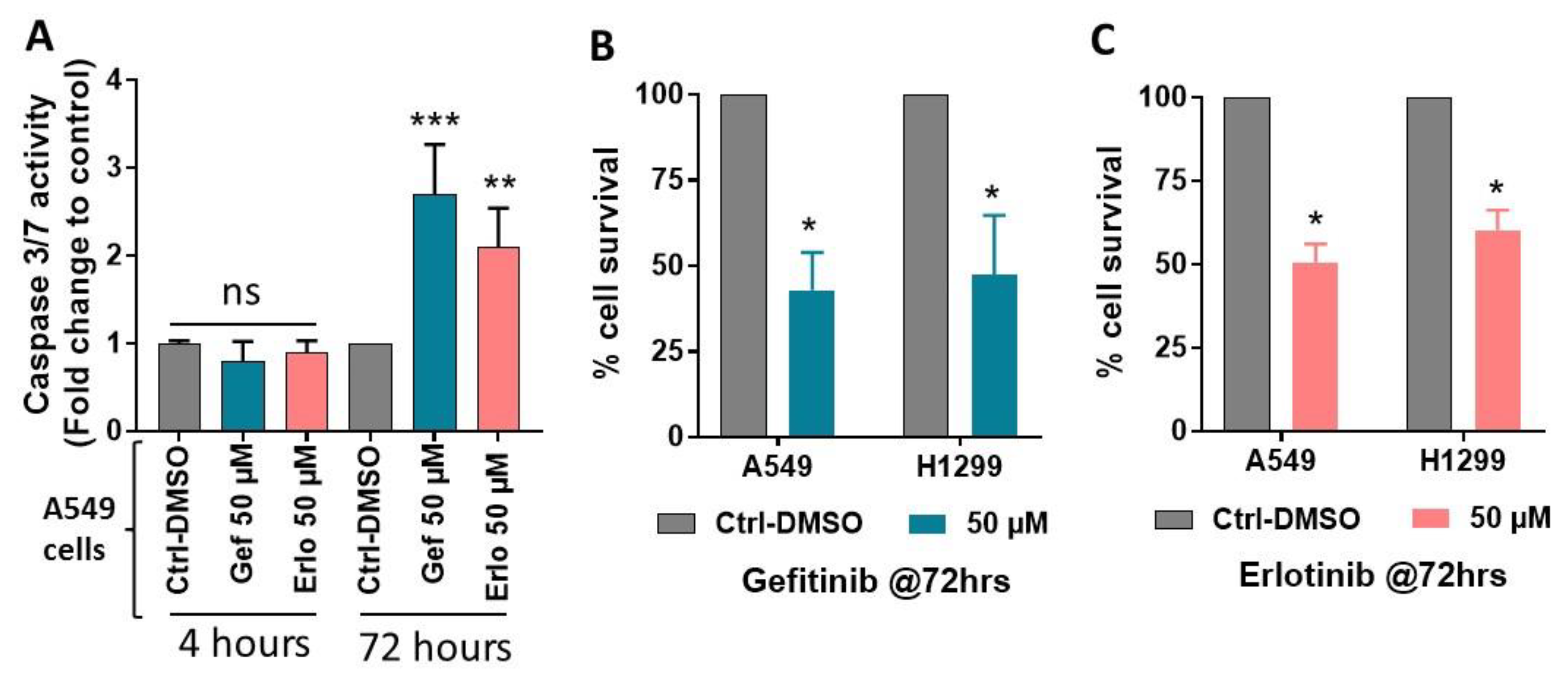 Ijms 21 08517 g003 Ijms 21 08517 g003