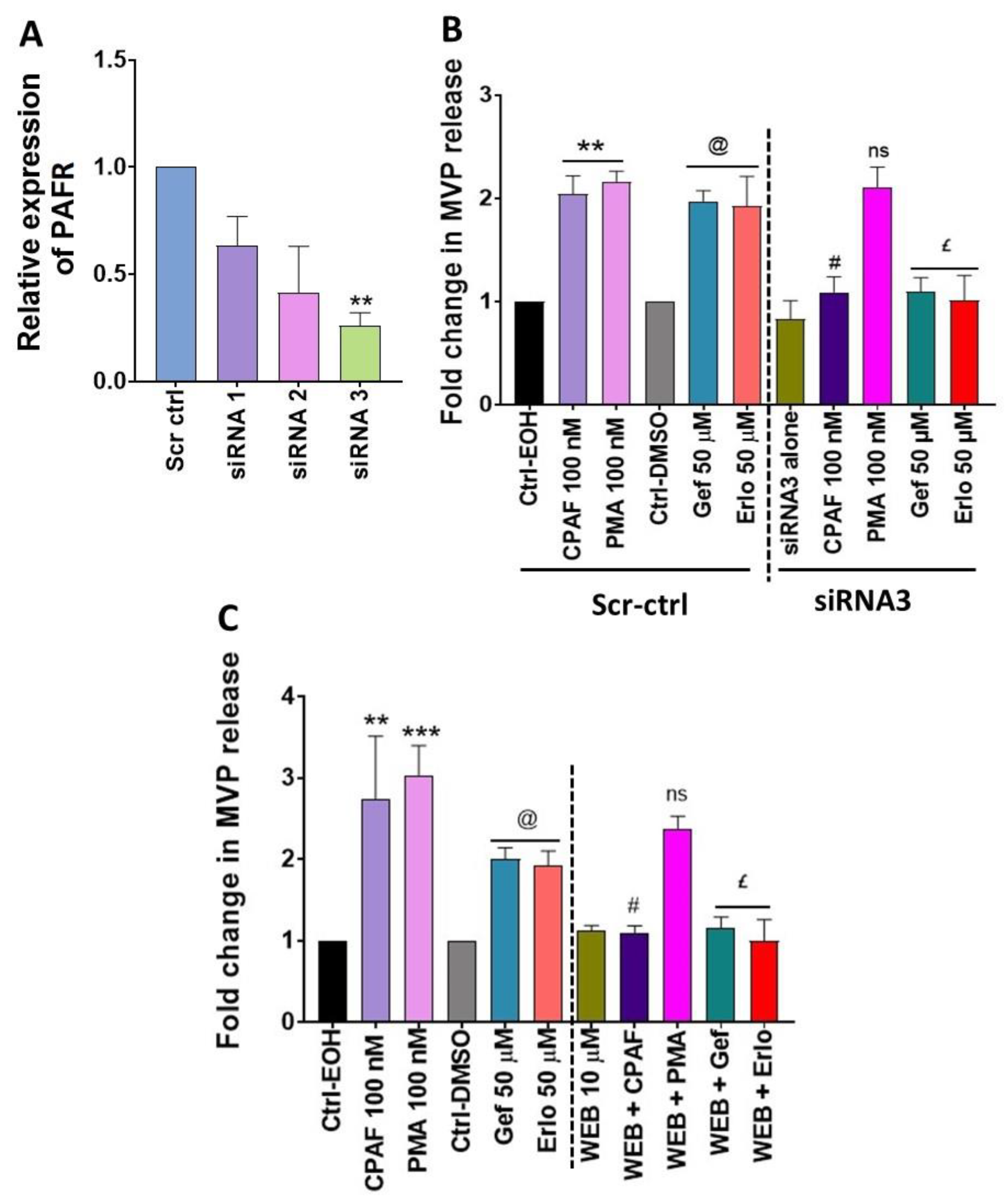 Ijms 21 08517 g004 Ijms 21 08517 g004