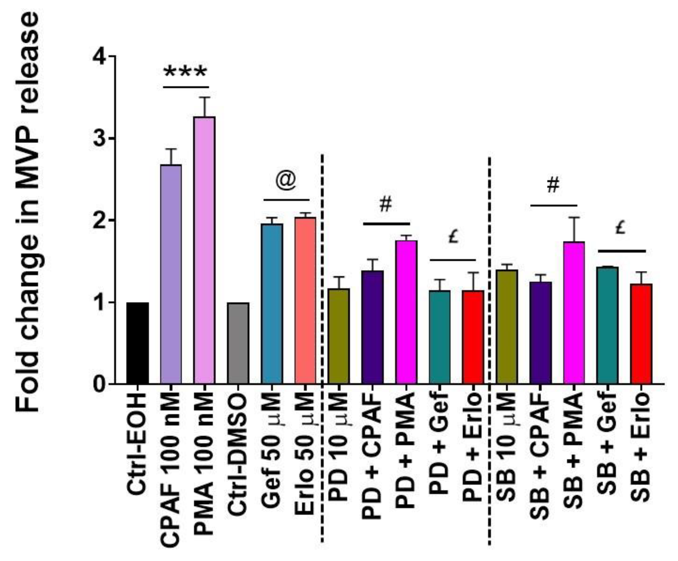 Ijms 21 08517 g006 Ijms 21 08517 g006