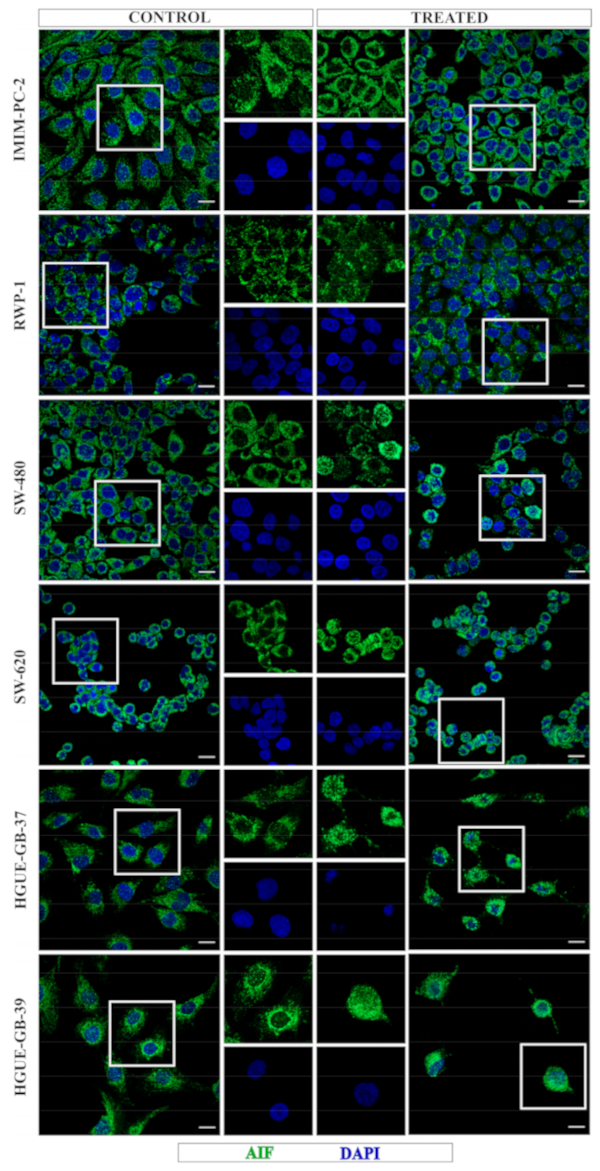 Ijms 21 08522 g003 Ijms 21 08522 g003