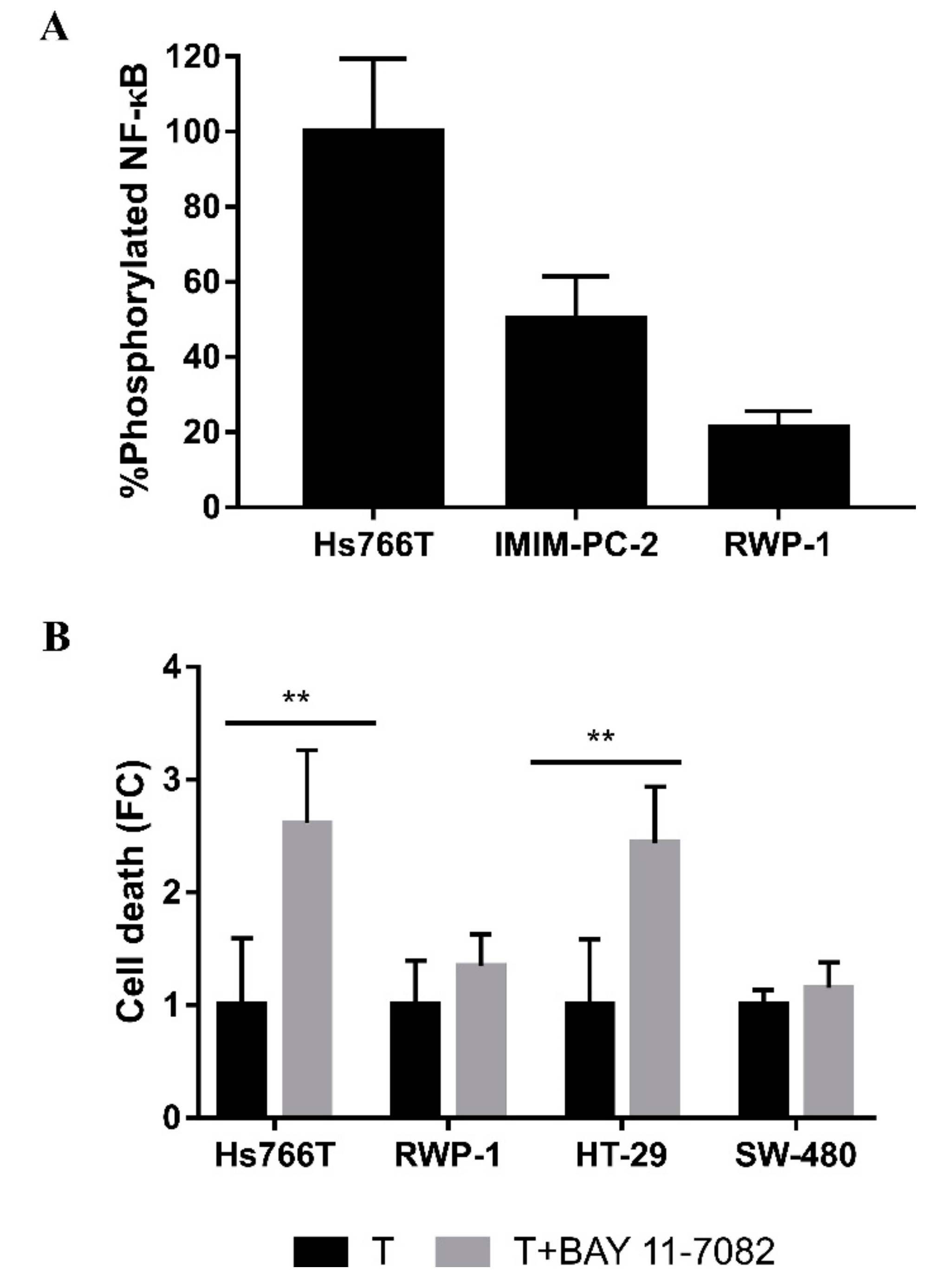 Ijms 21 08522 g006 Ijms 21 08522 g006
