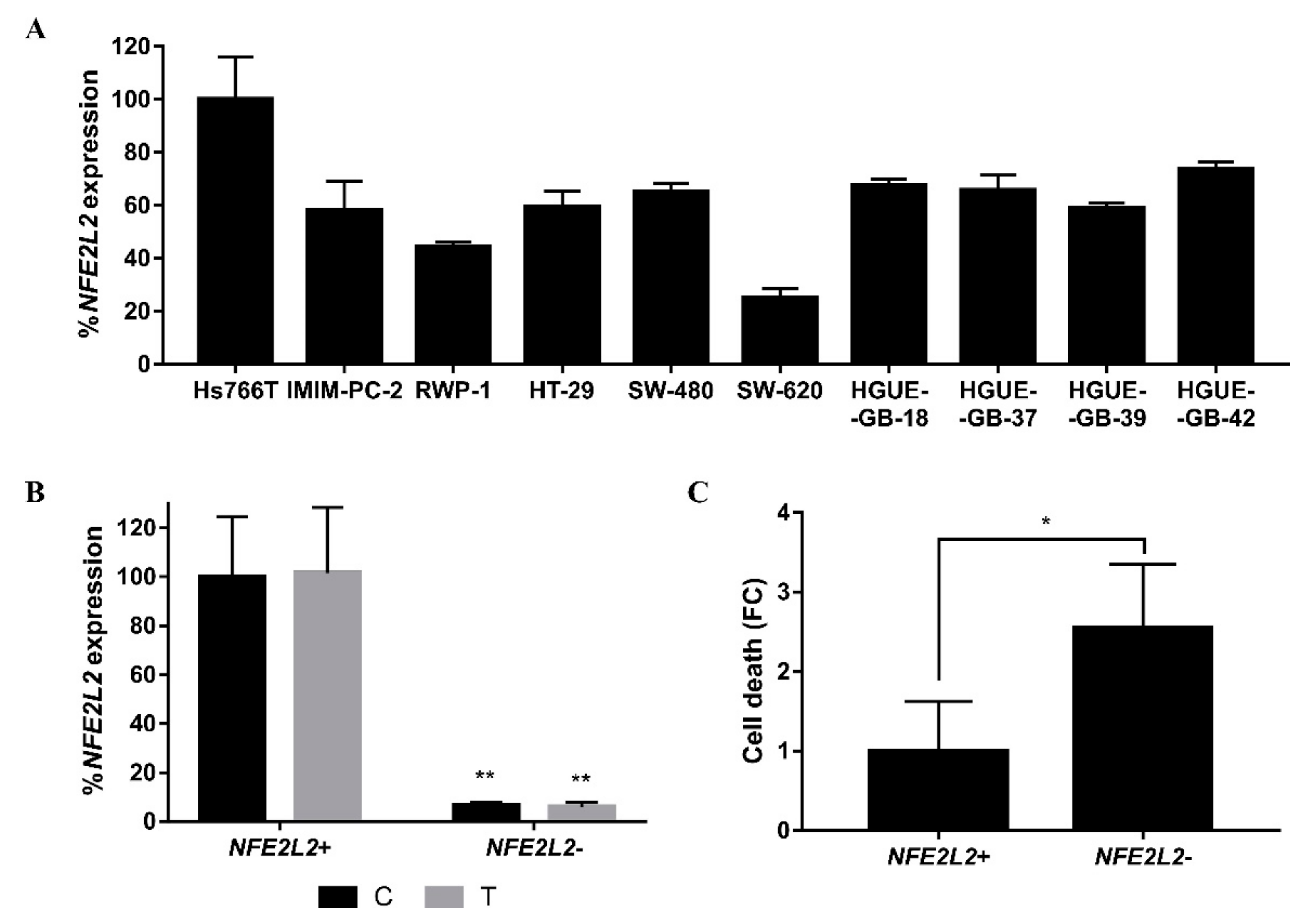 Ijms 21 08522 g007 Ijms 21 08522 g007