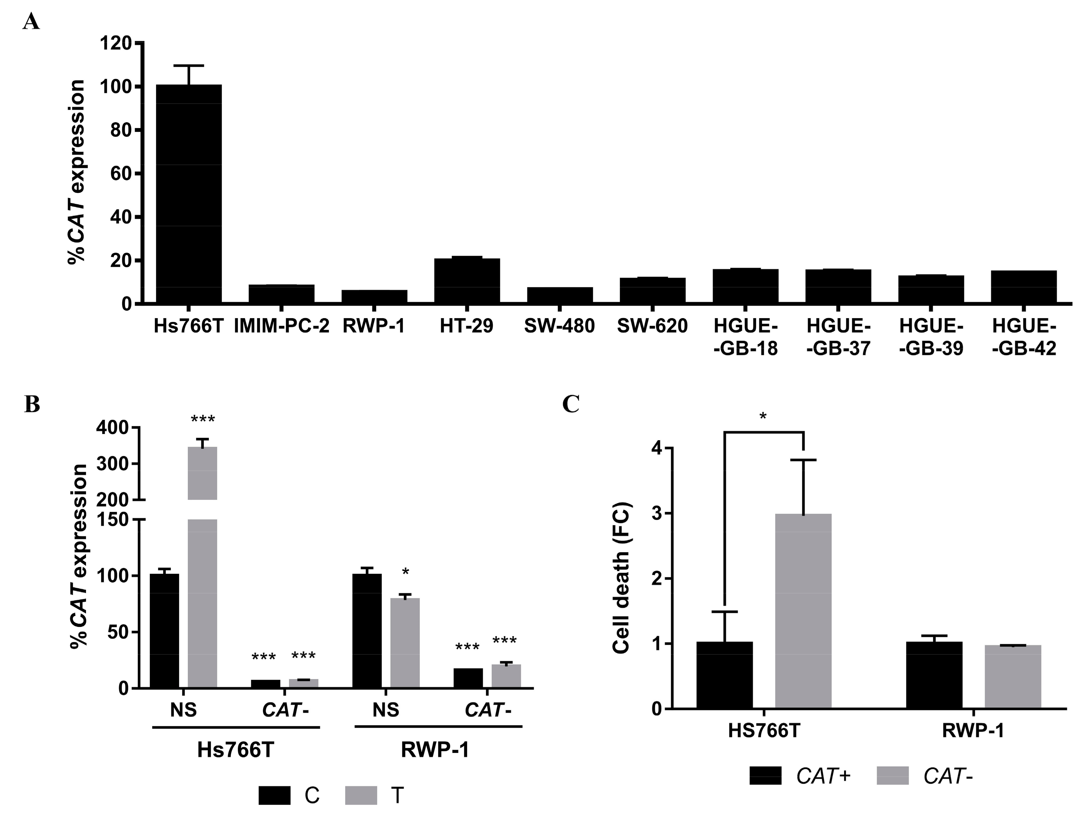 Ijms 21 08522 g008 Ijms 21 08522 g008