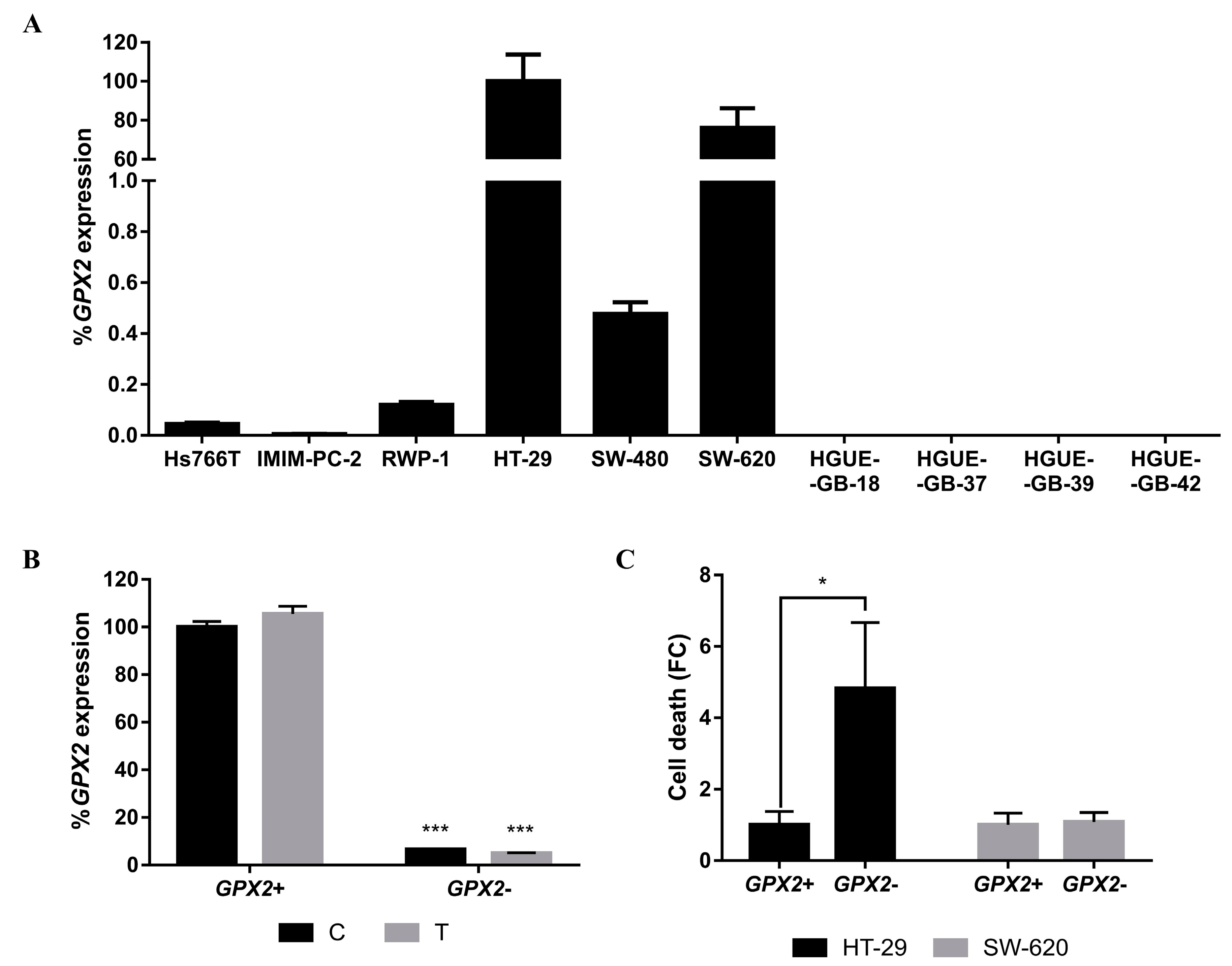 Ijms 21 08522 g009 Ijms 21 08522 g009