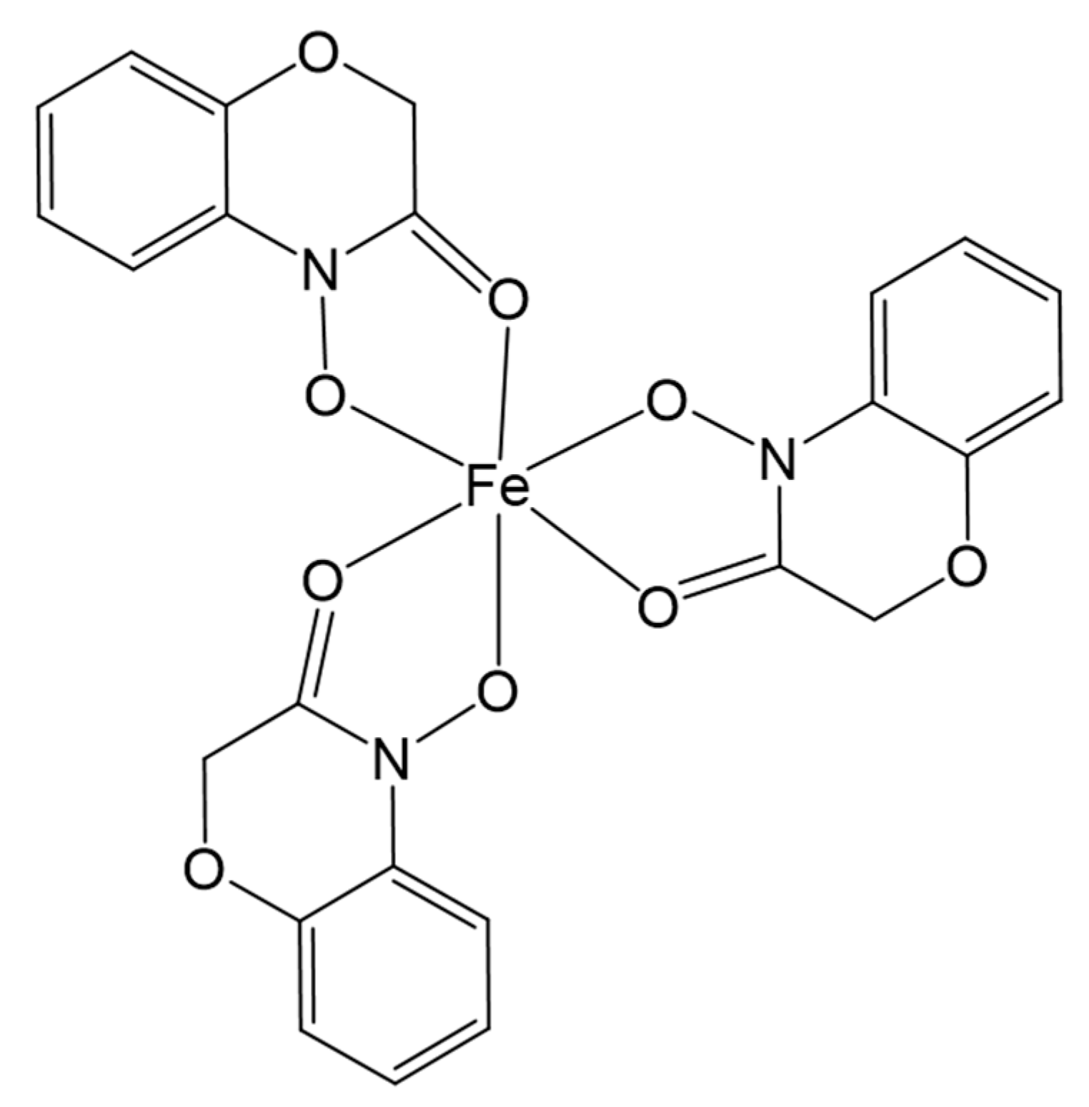 Ijms 21 08523 g002 Ijms 21 08523 g002