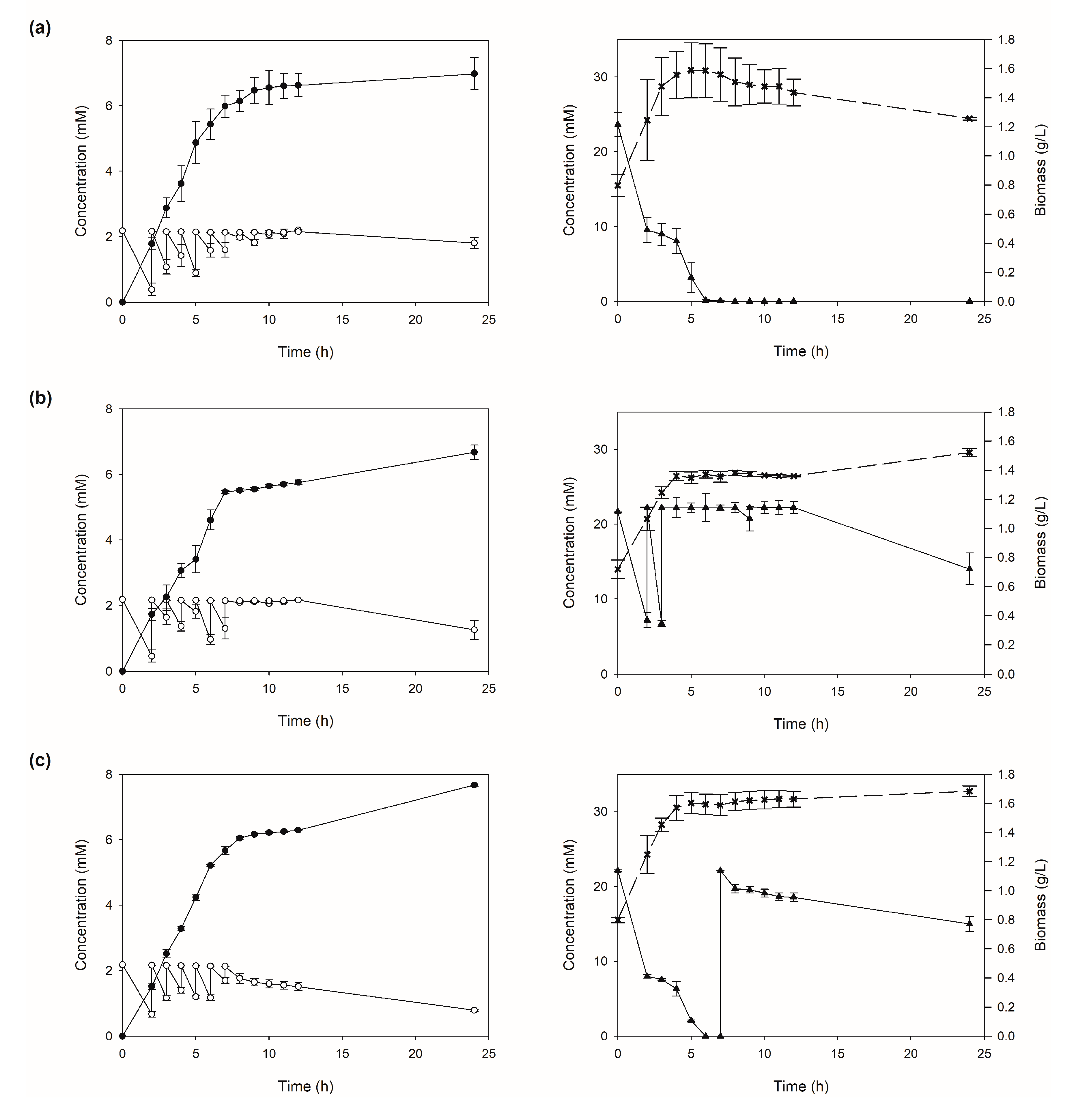 Ijms 21 08523 g005 Ijms 21 08523 g005