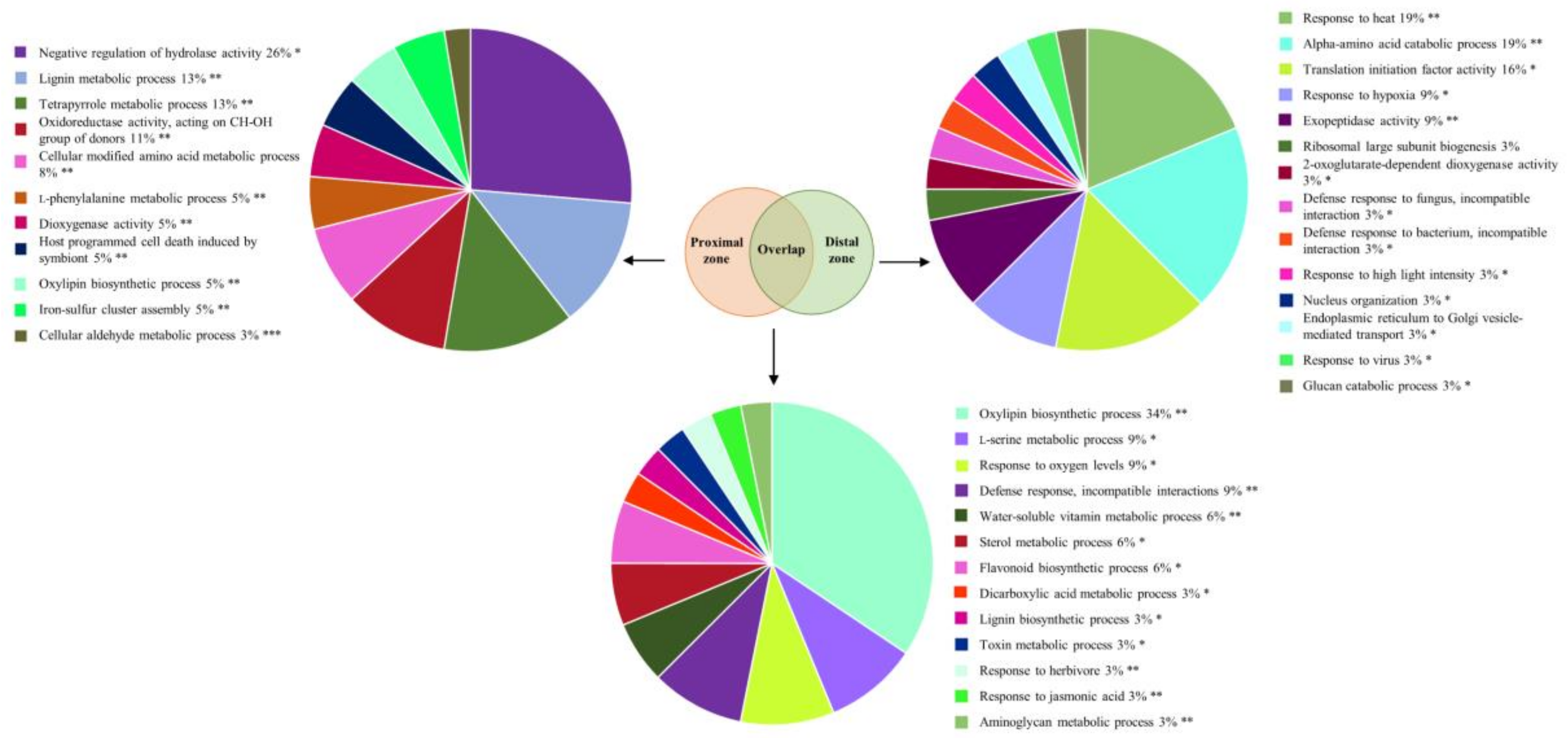 Ijms 21 08525 g003 Ijms 21 08525 g003