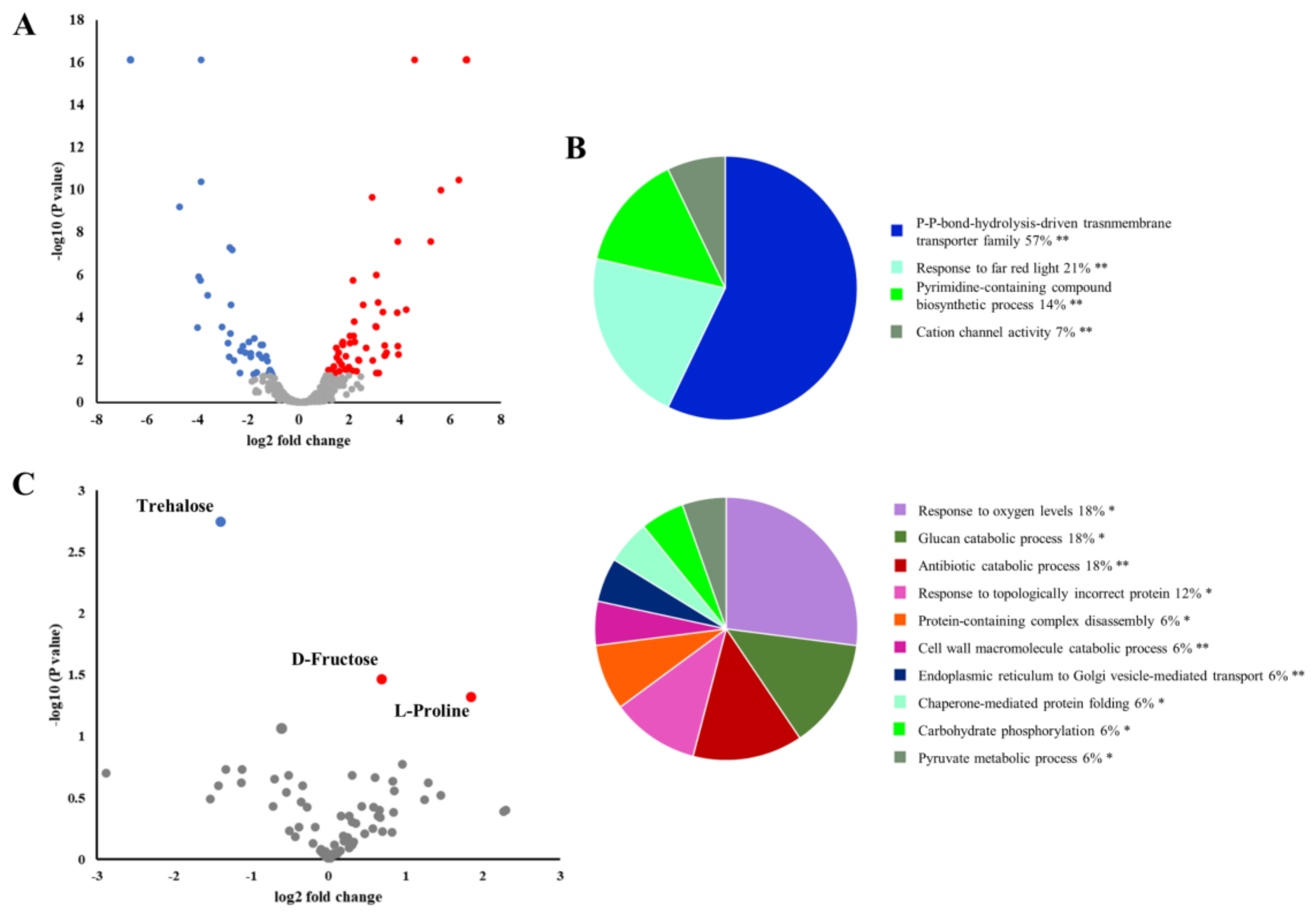 Ijms 21 08525 g008 Ijms 21 08525 g008