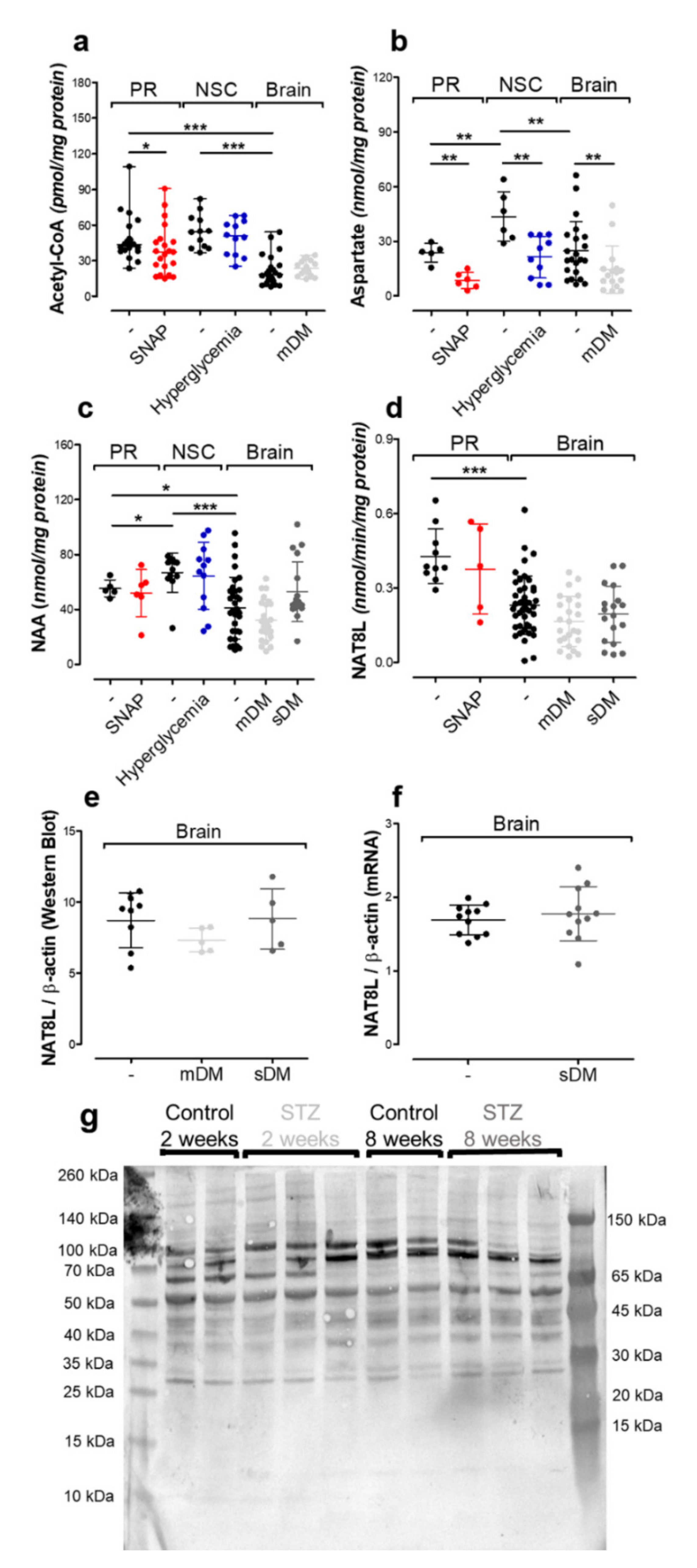 Ijms 21 08541 g003 Ijms 21 08541 g003