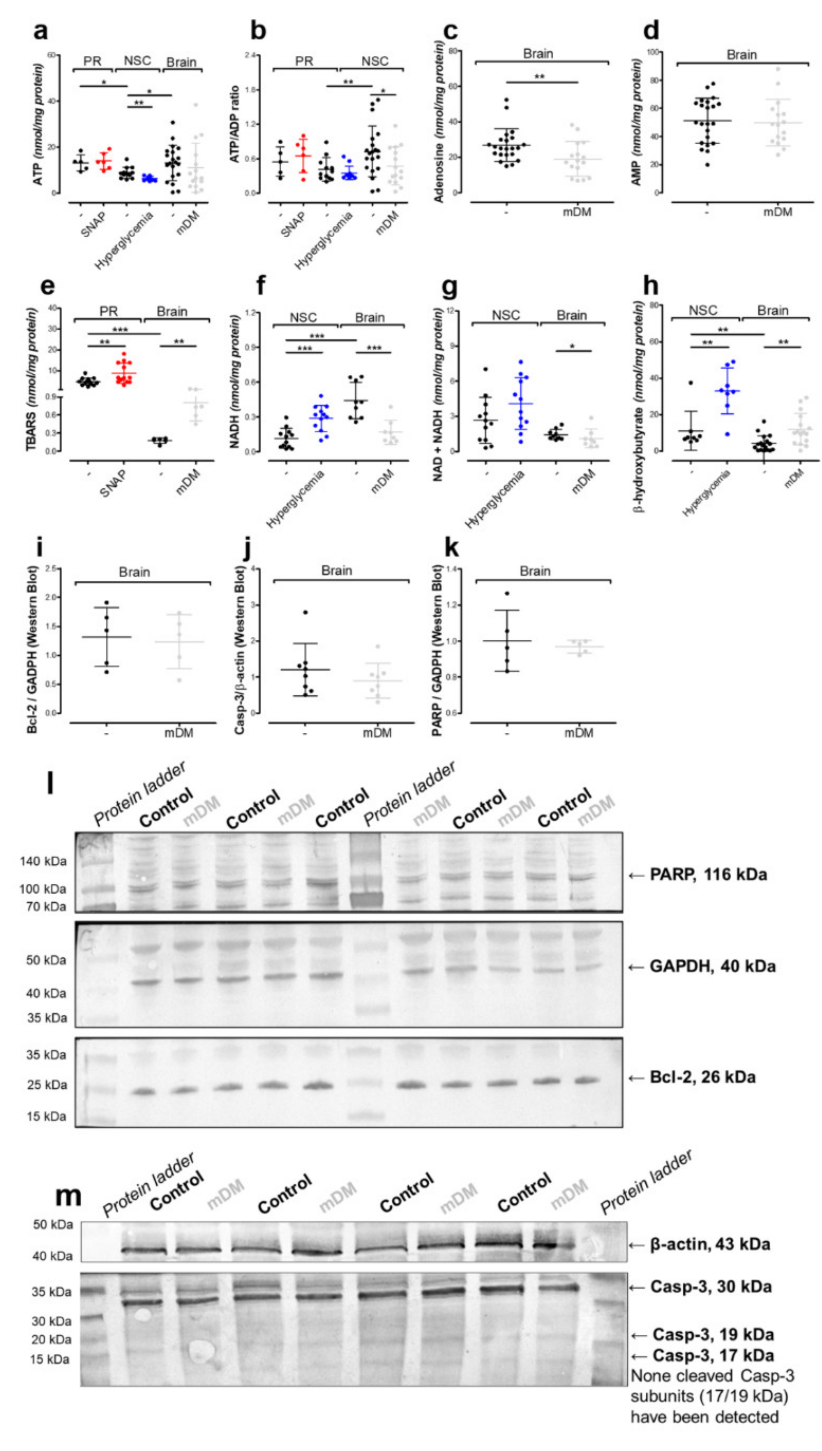 Ijms 21 08541 g006 Ijms 21 08541 g006