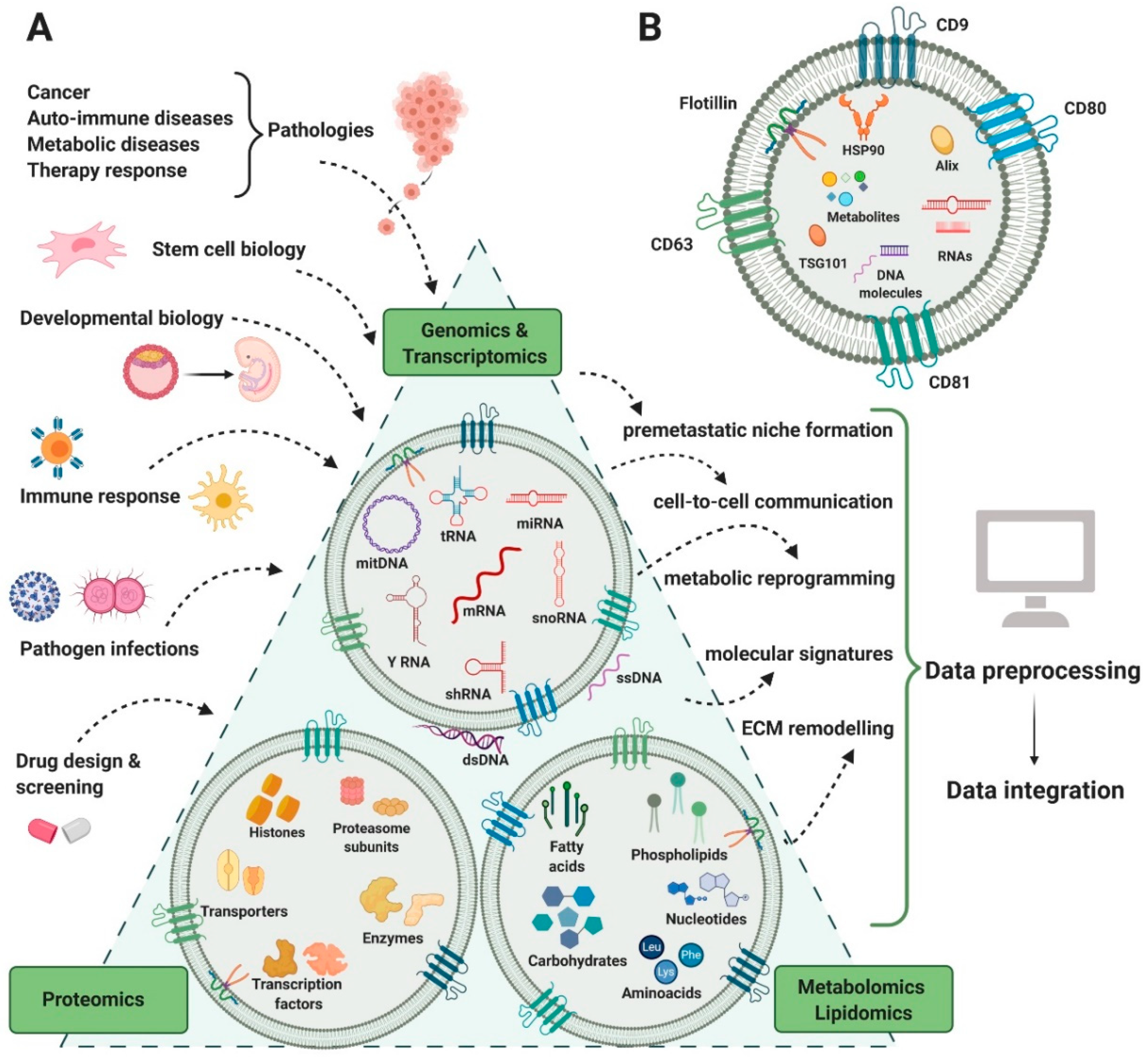 Ijms 21 08550 g002 Ijms 21 08550 g002
