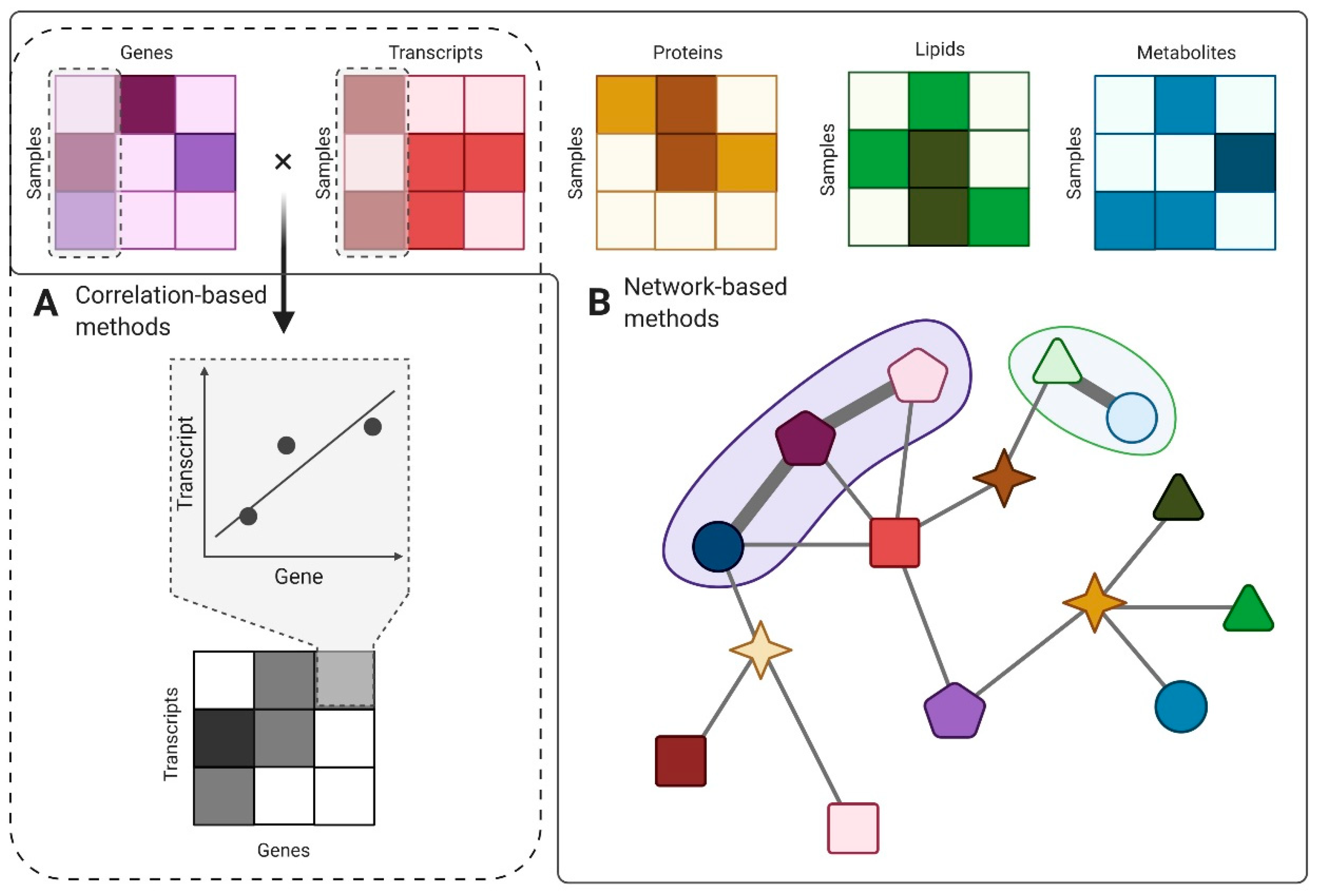 Ijms 21 08550 g004 Ijms 21 08550 g004