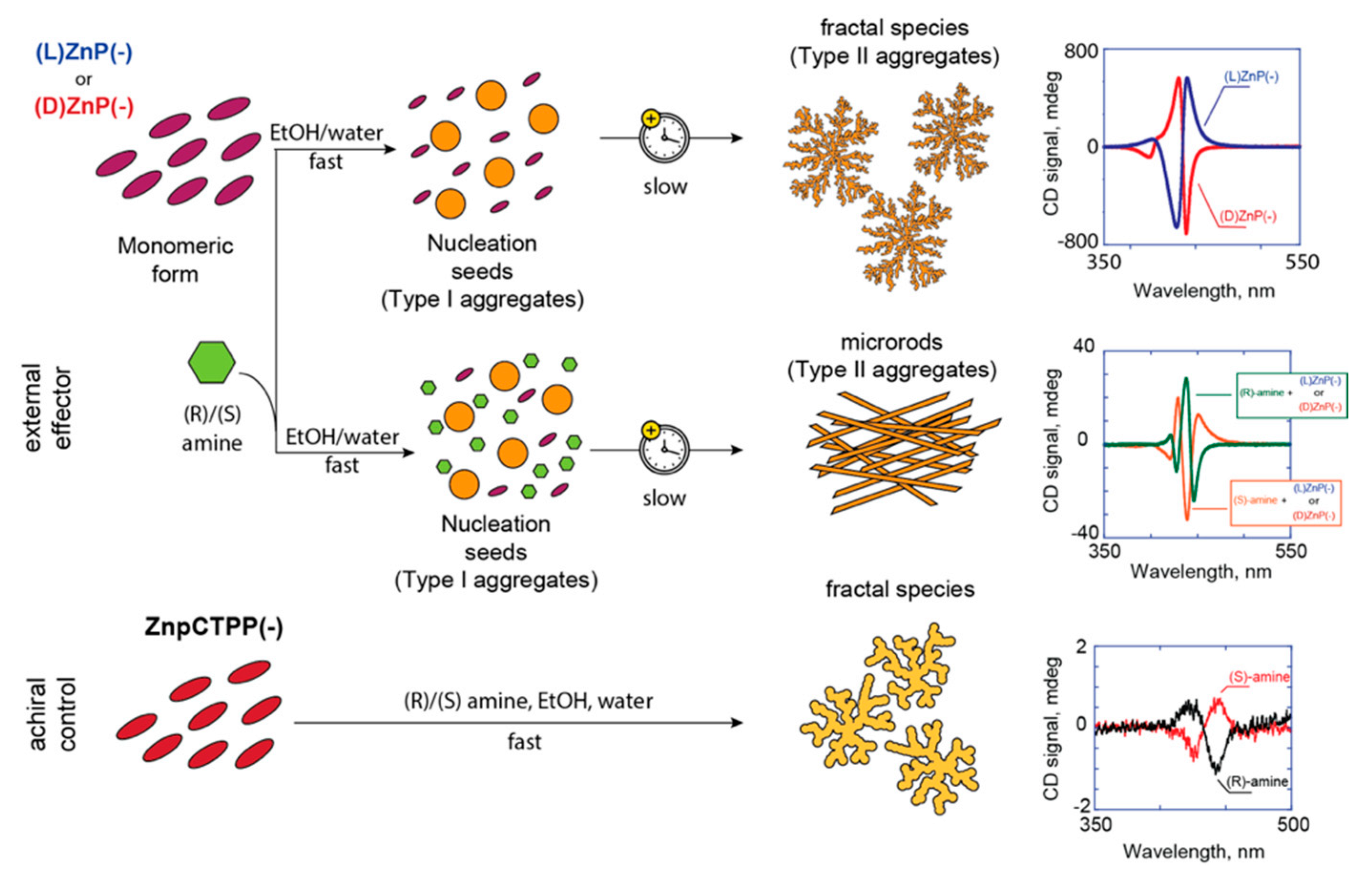 Ijms 21 08557 sch001 Ijms 21 08557 sch001